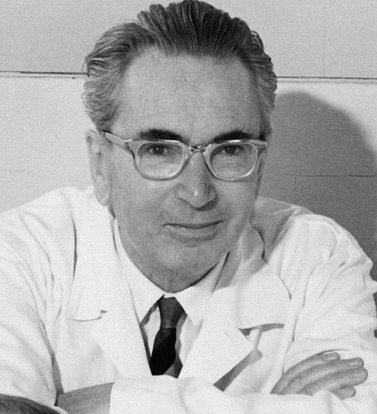Viktor Frankl photo