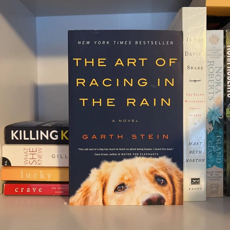 The Art of Racing in the Rain