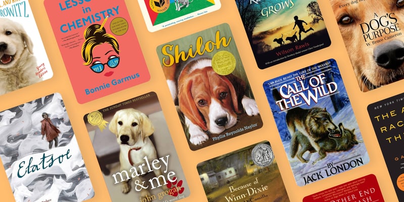 Cover: The Best Dog Books to Read in 2026