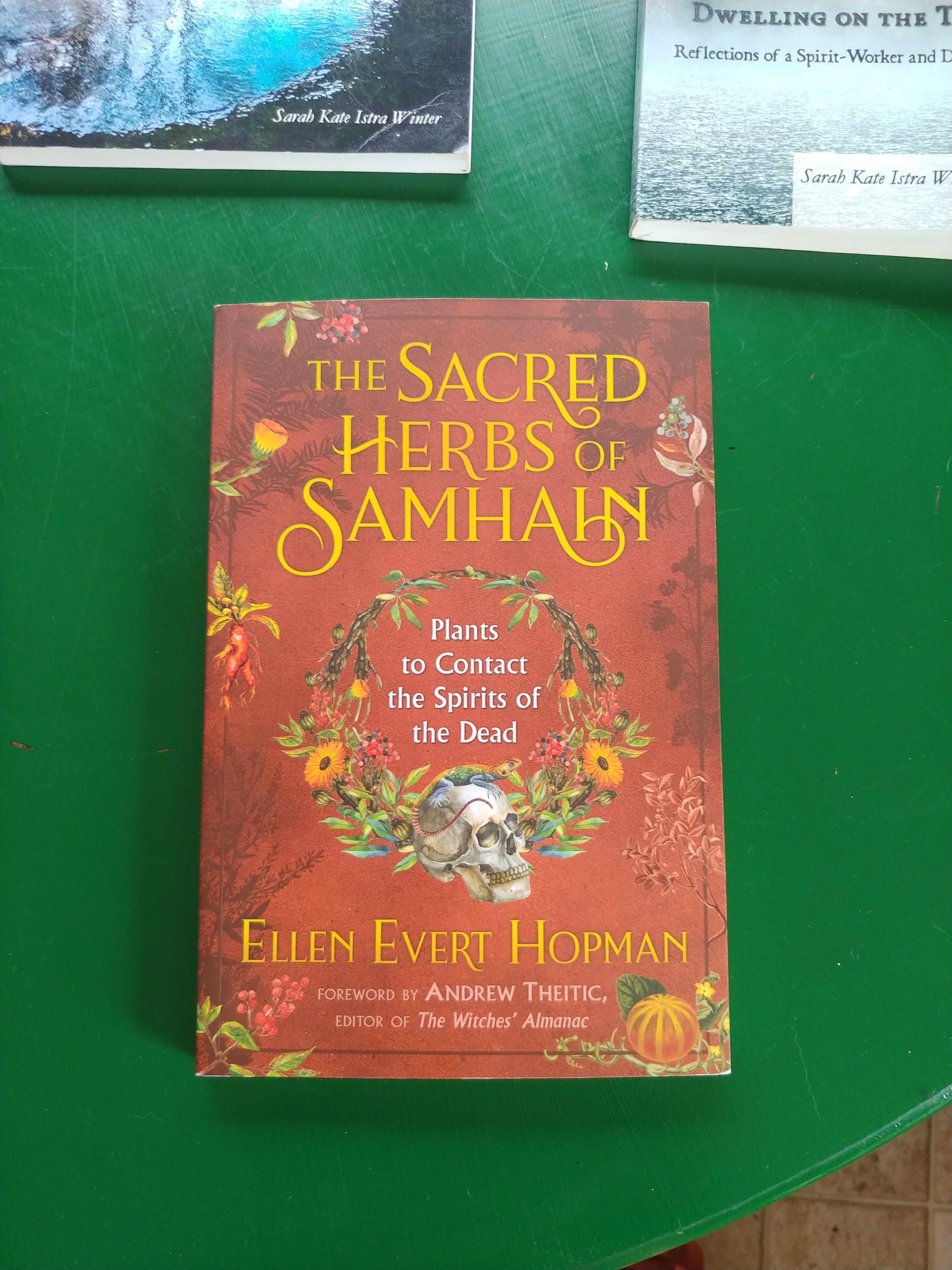 The Sacred Herbs of Samhain