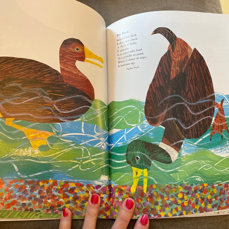 Eric Carle's Animals Animals