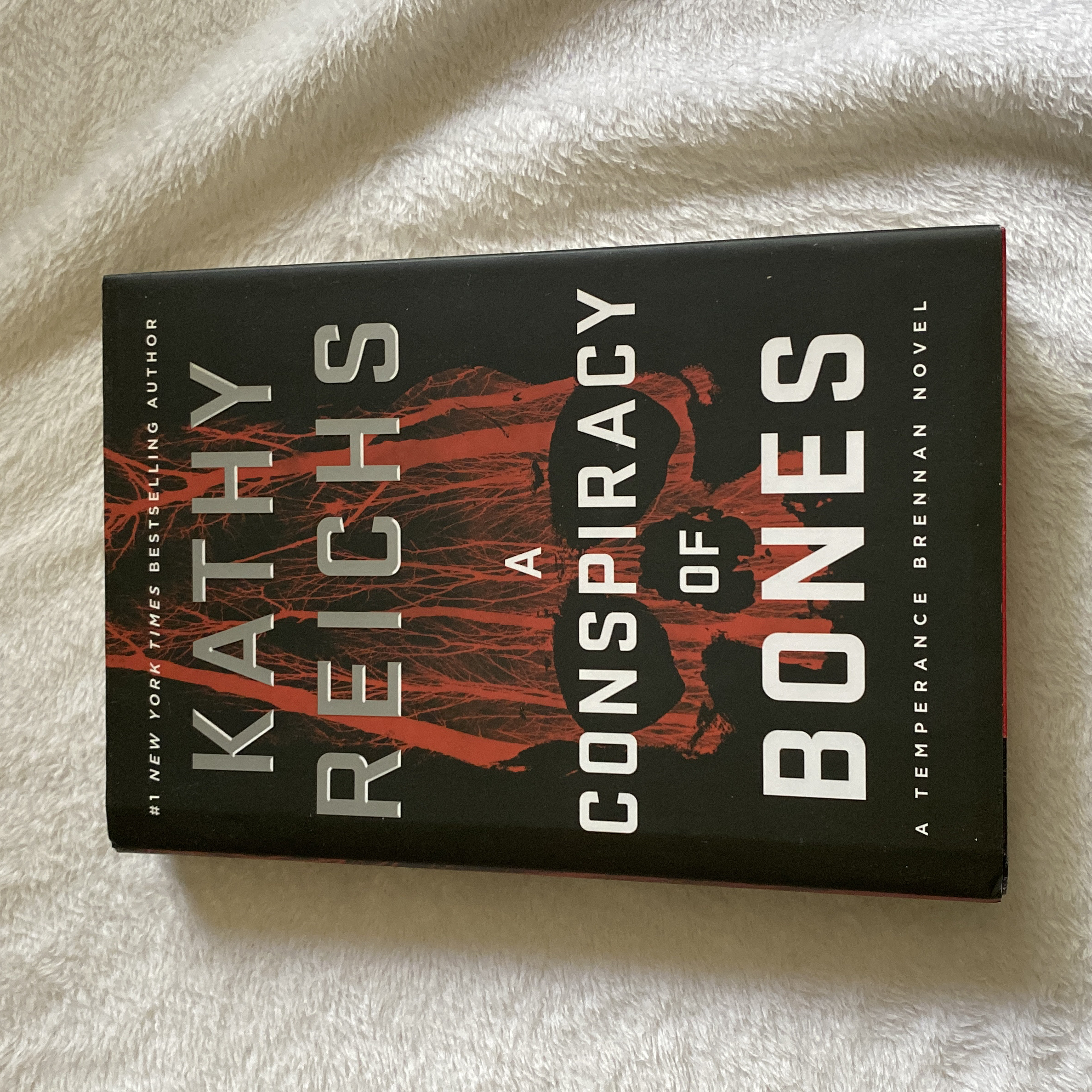 A Conspiracy of Bones