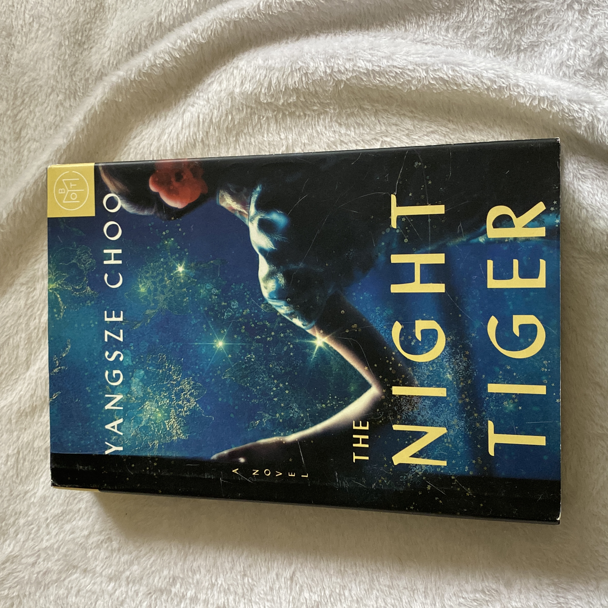 The Night Tiger