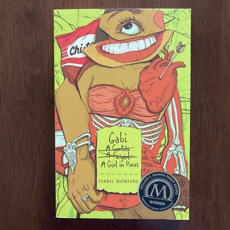 Gabi, a Girl in Pieces