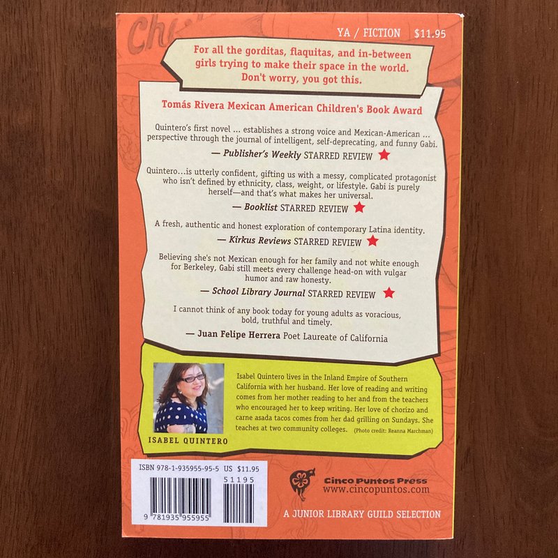 Gabi, a Girl in Pieces