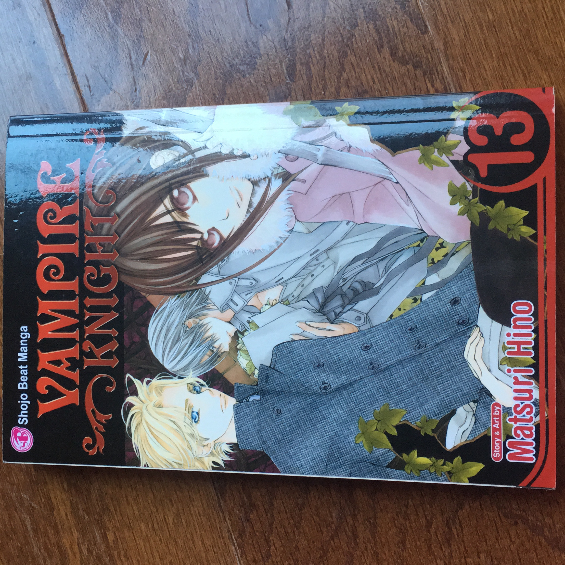 Vampire Knight, Vol. 13