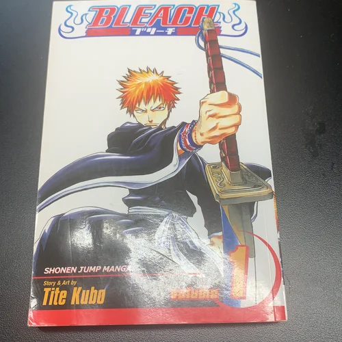 Bleach, Vol. 1