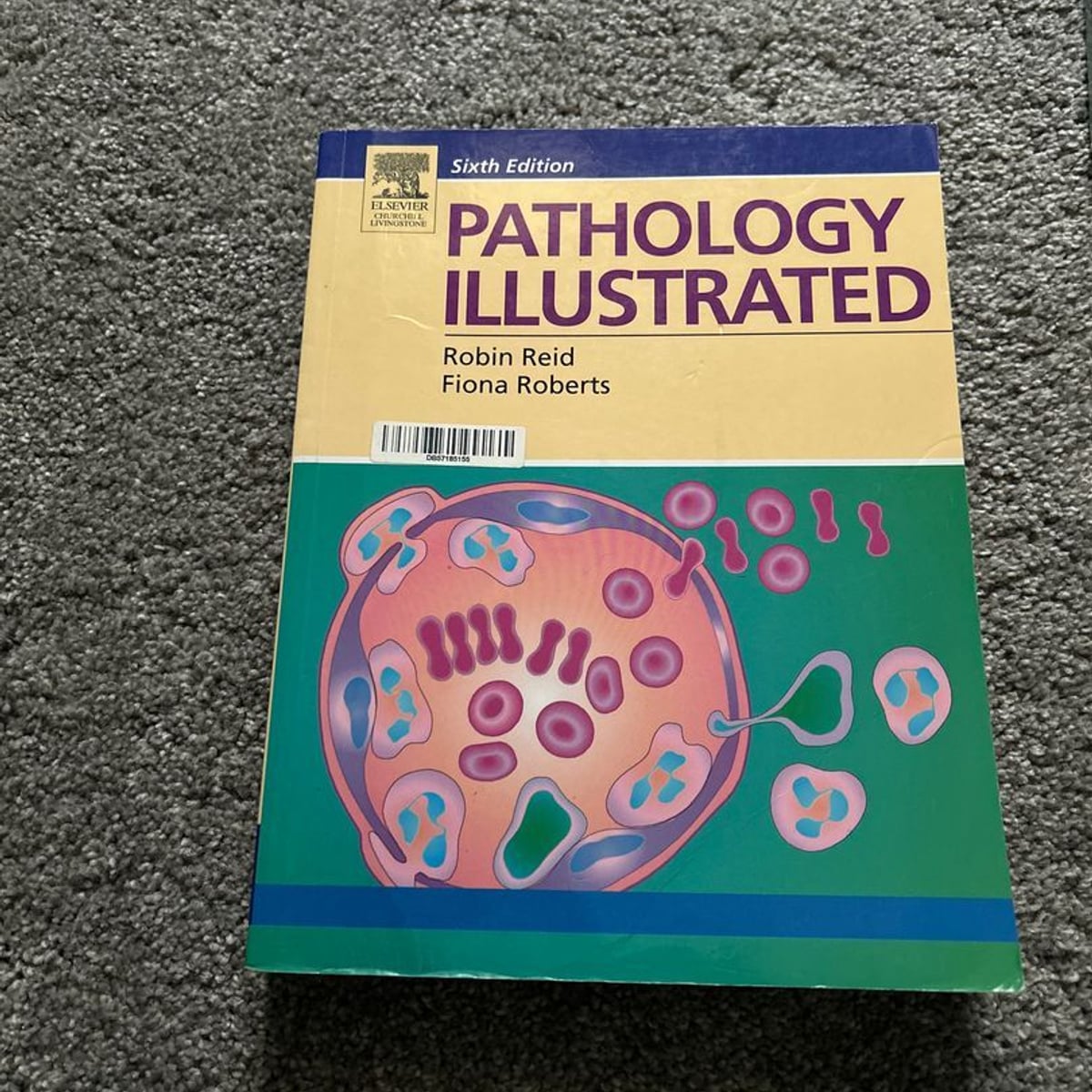 Pathology Illustrated by Robin Reid, Fiona Roberts