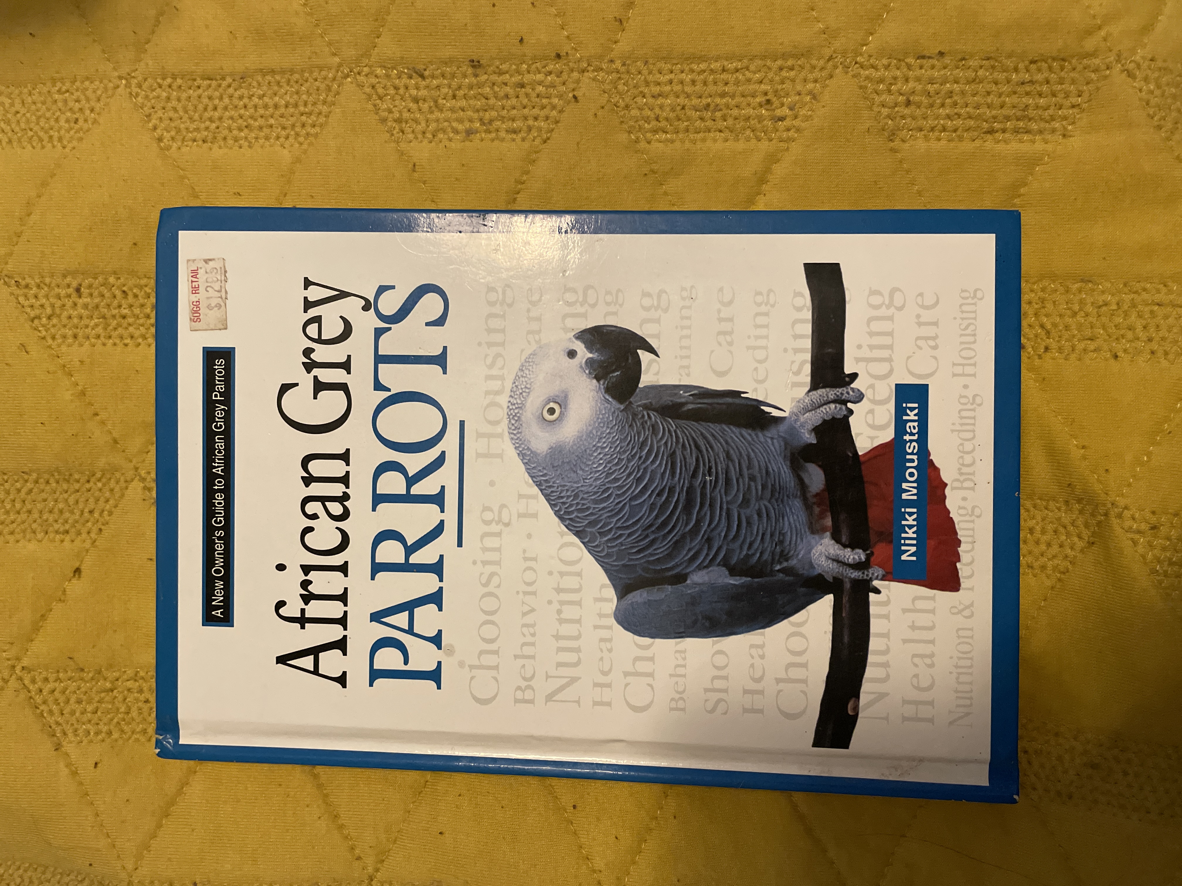 A New Owner's Guide to African Grey Parrots