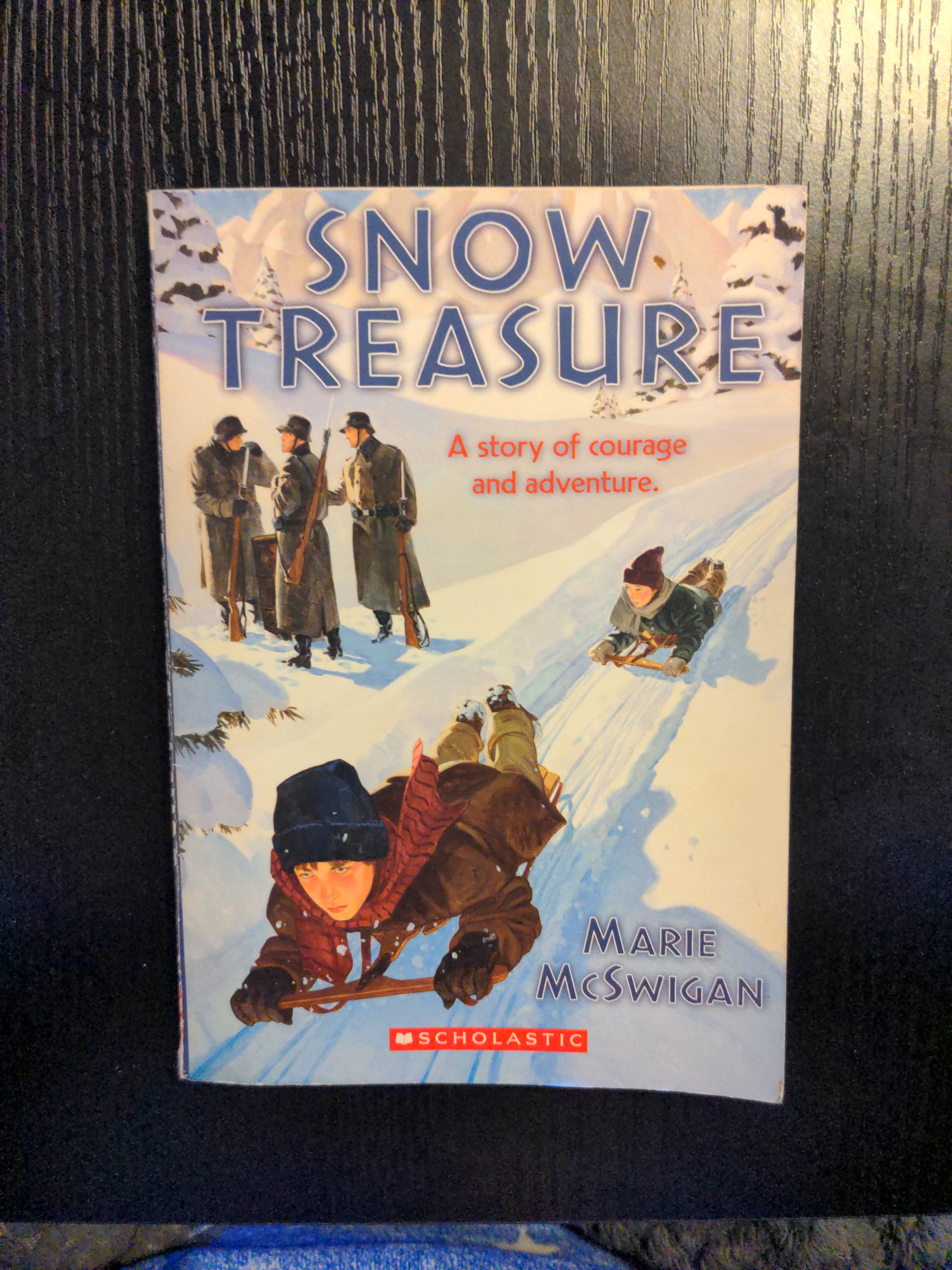 Snow Treasure