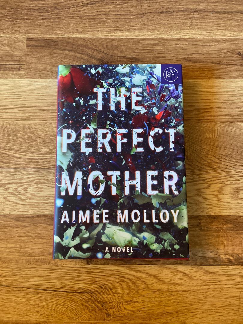 The Perfect Mother
