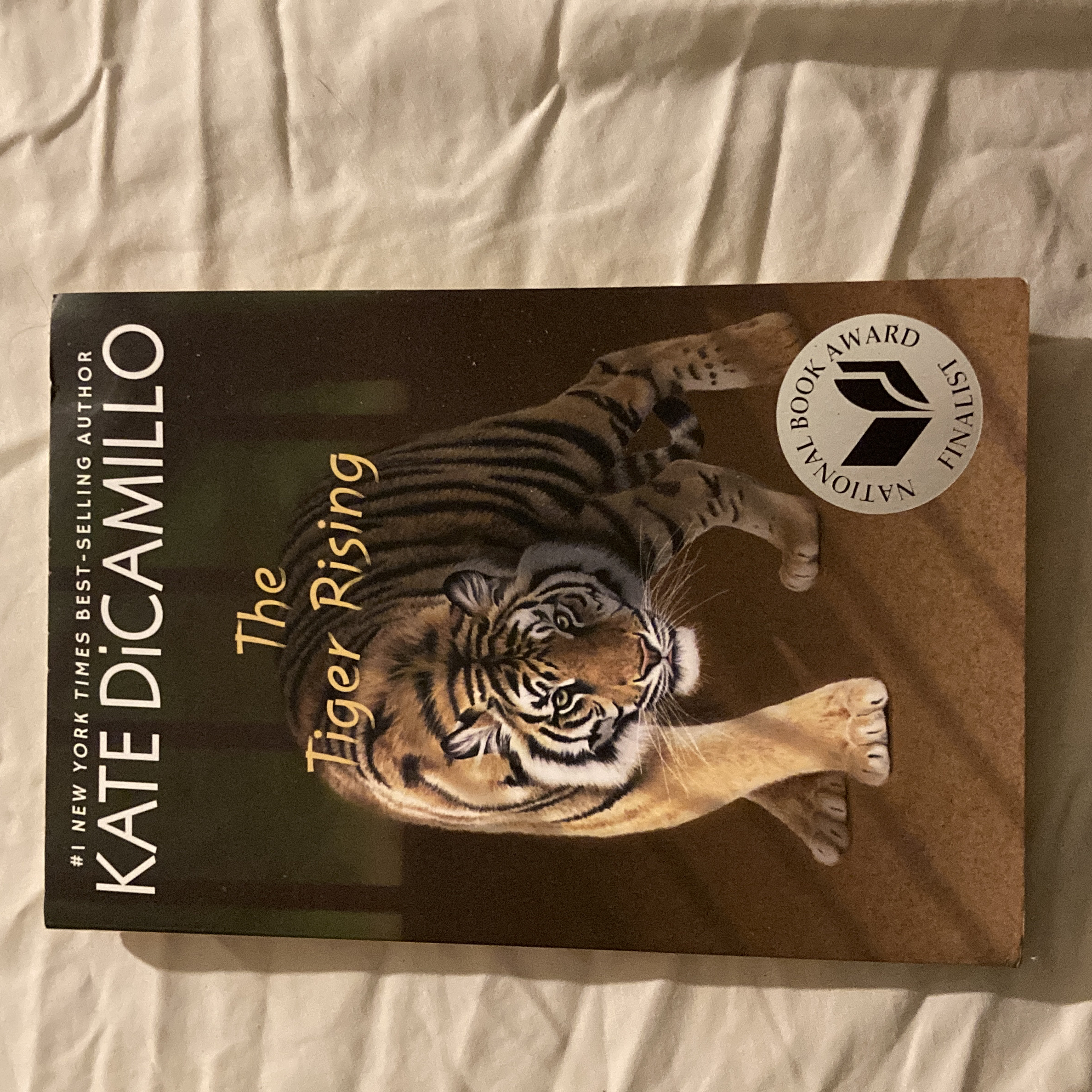 The Tiger Rising