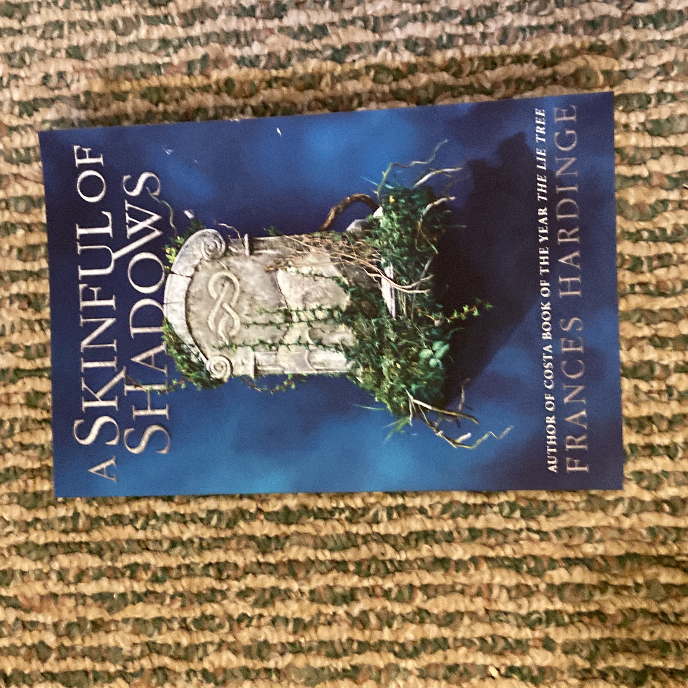 A Skinful of Shadows