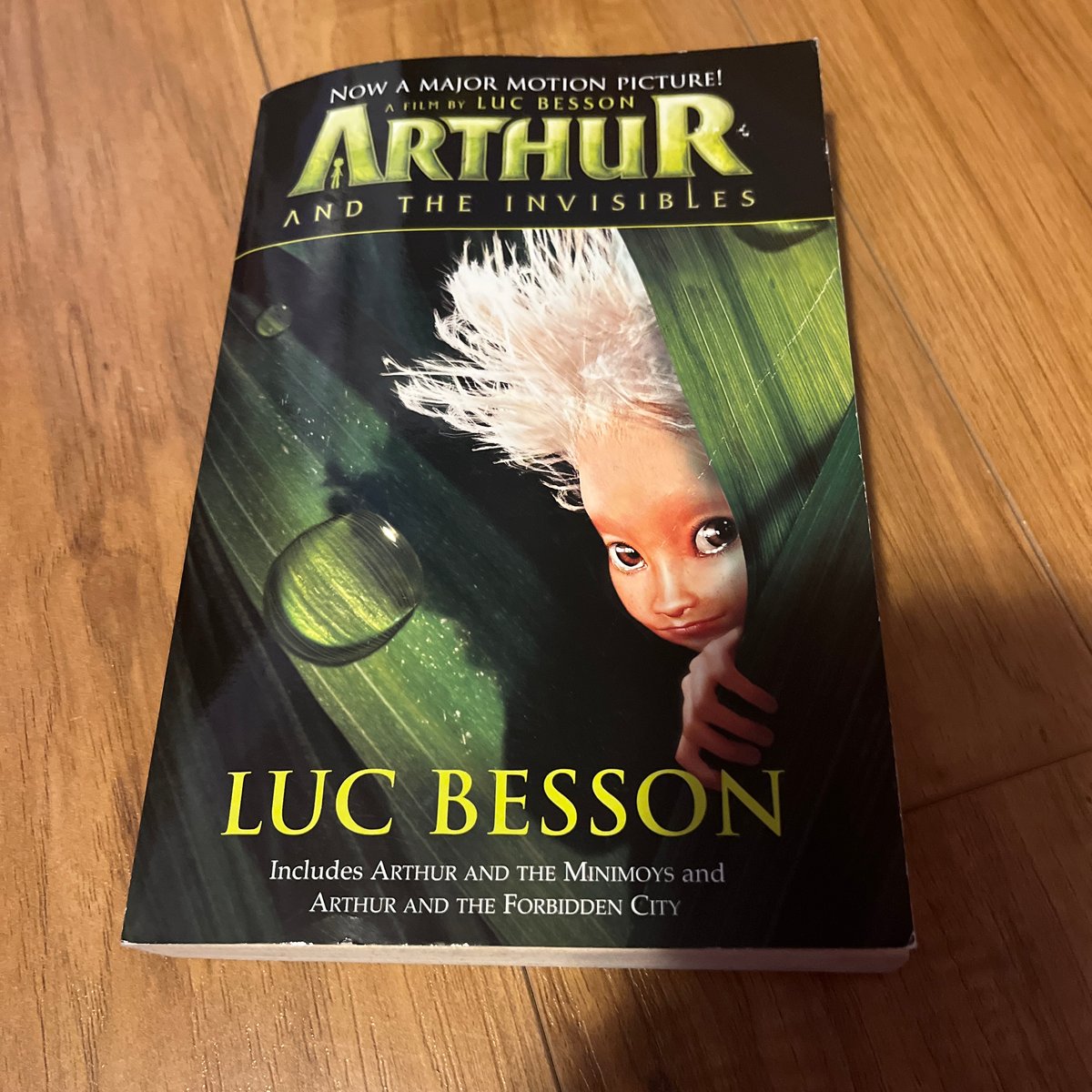 Arthur and the Invisibles by Luc Besson, Ellen Sowchek, Celine Garcia