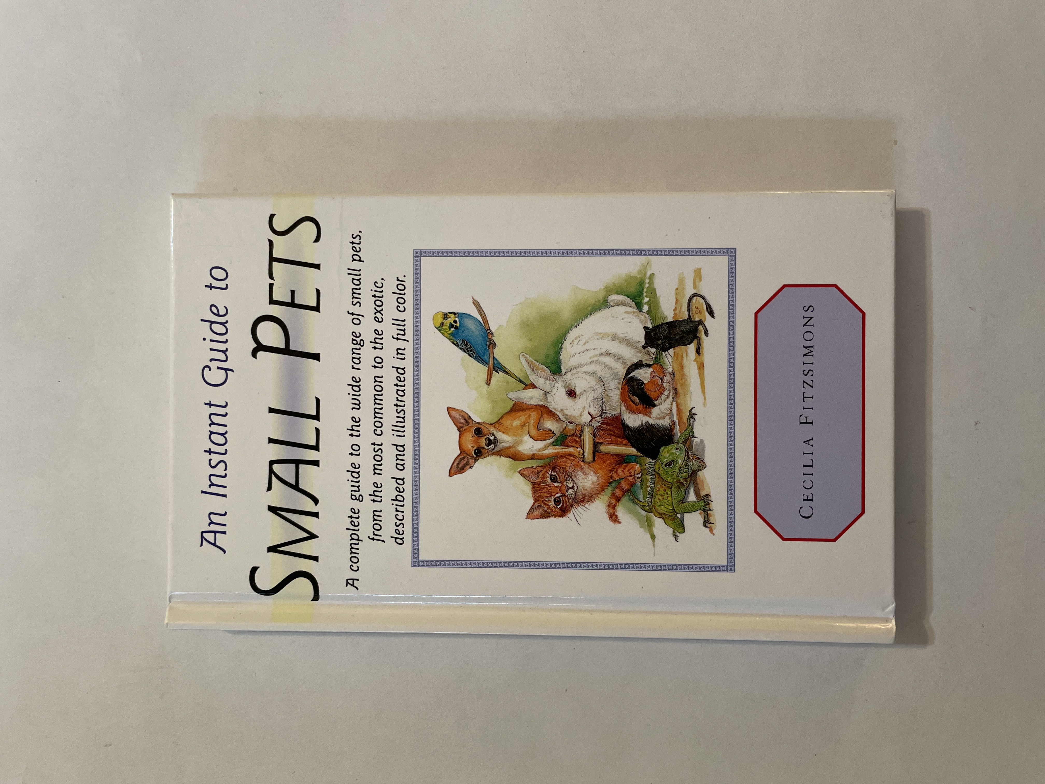 Instant Guide to Small Pets