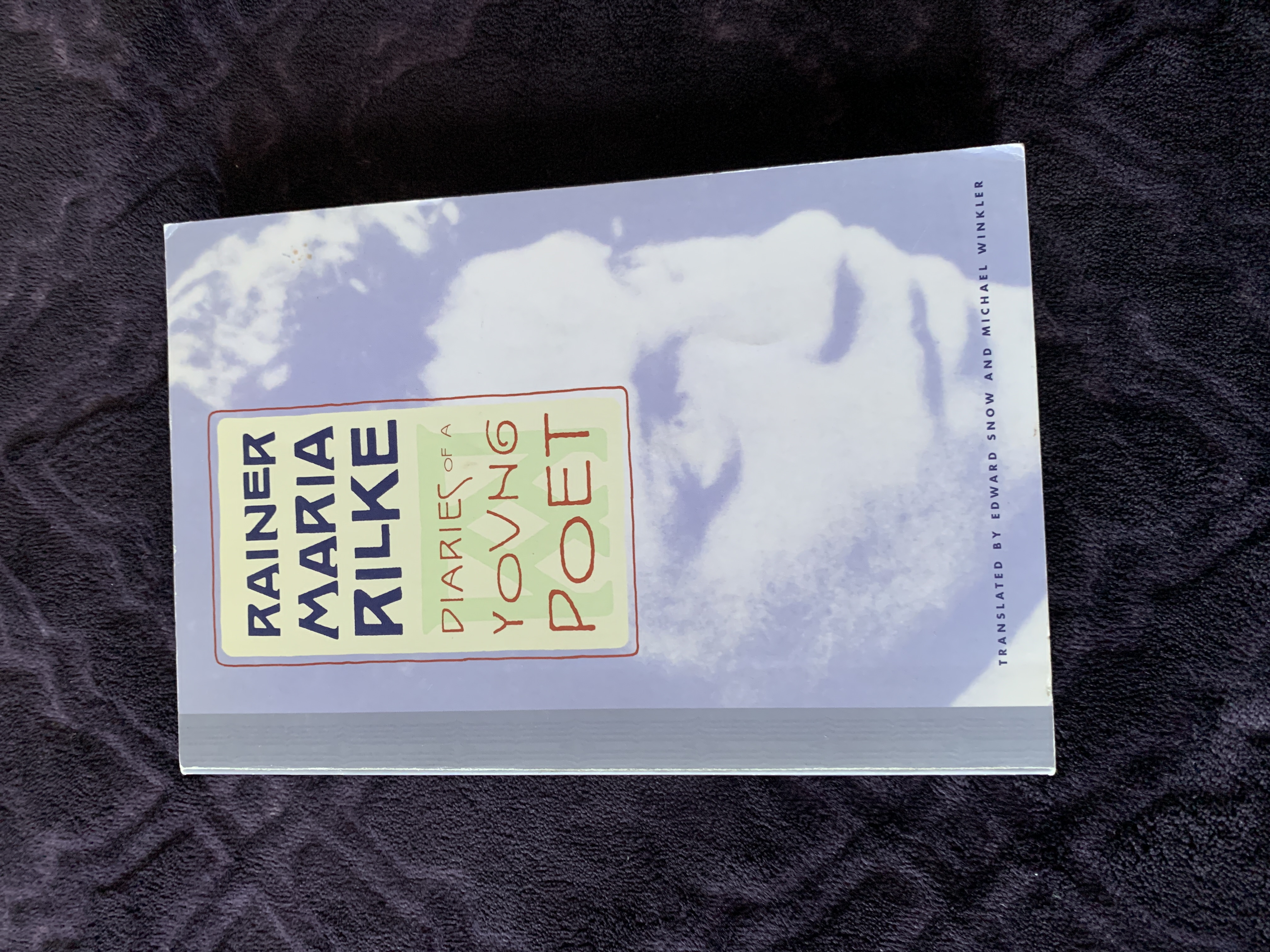 Diaries of a Young Poet