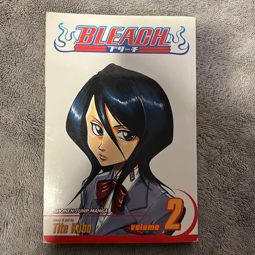 Bleach, Vol. 2