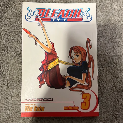 Bleach, Vol. 3