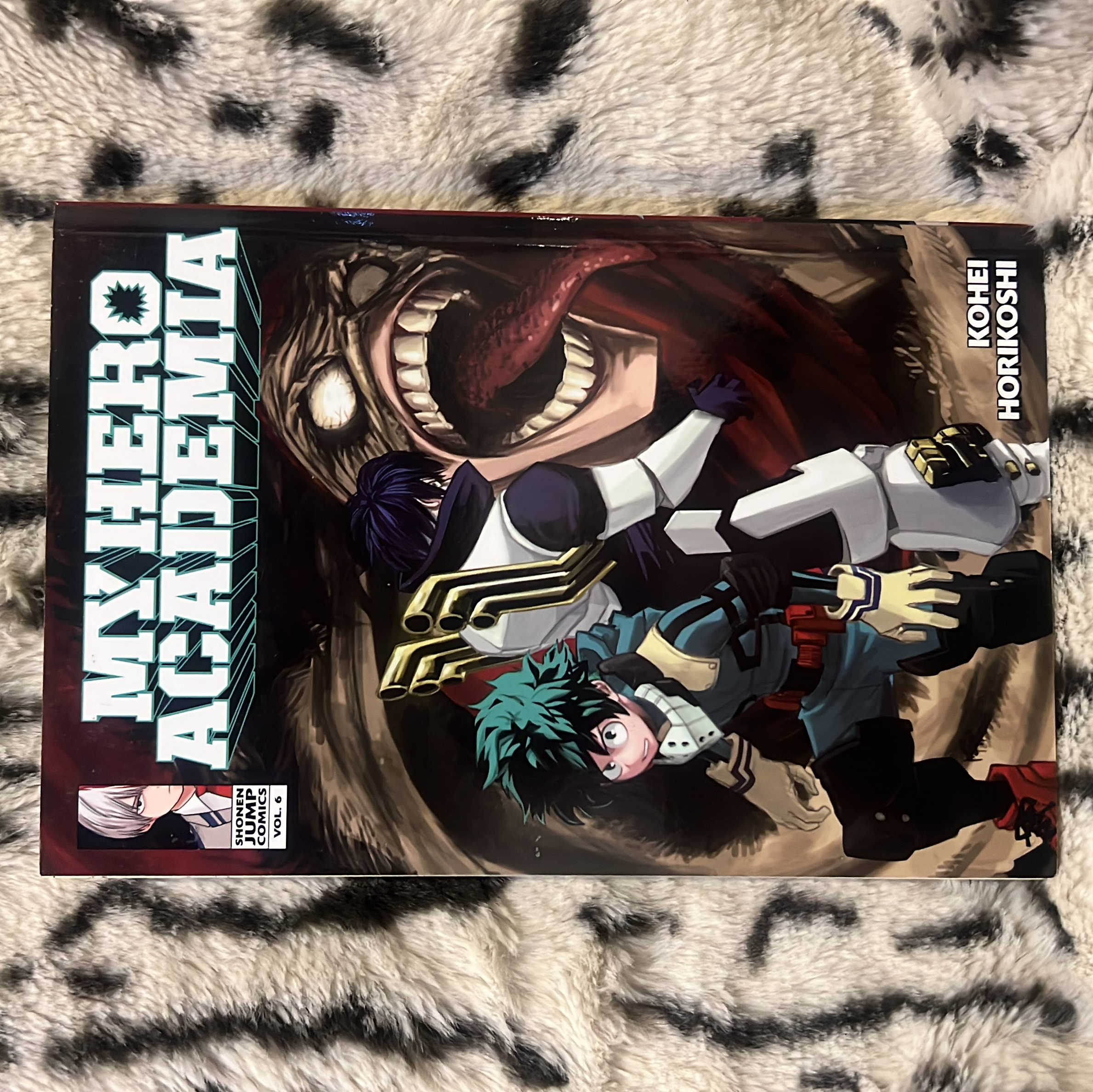 My Hero Academia, Vol. 6