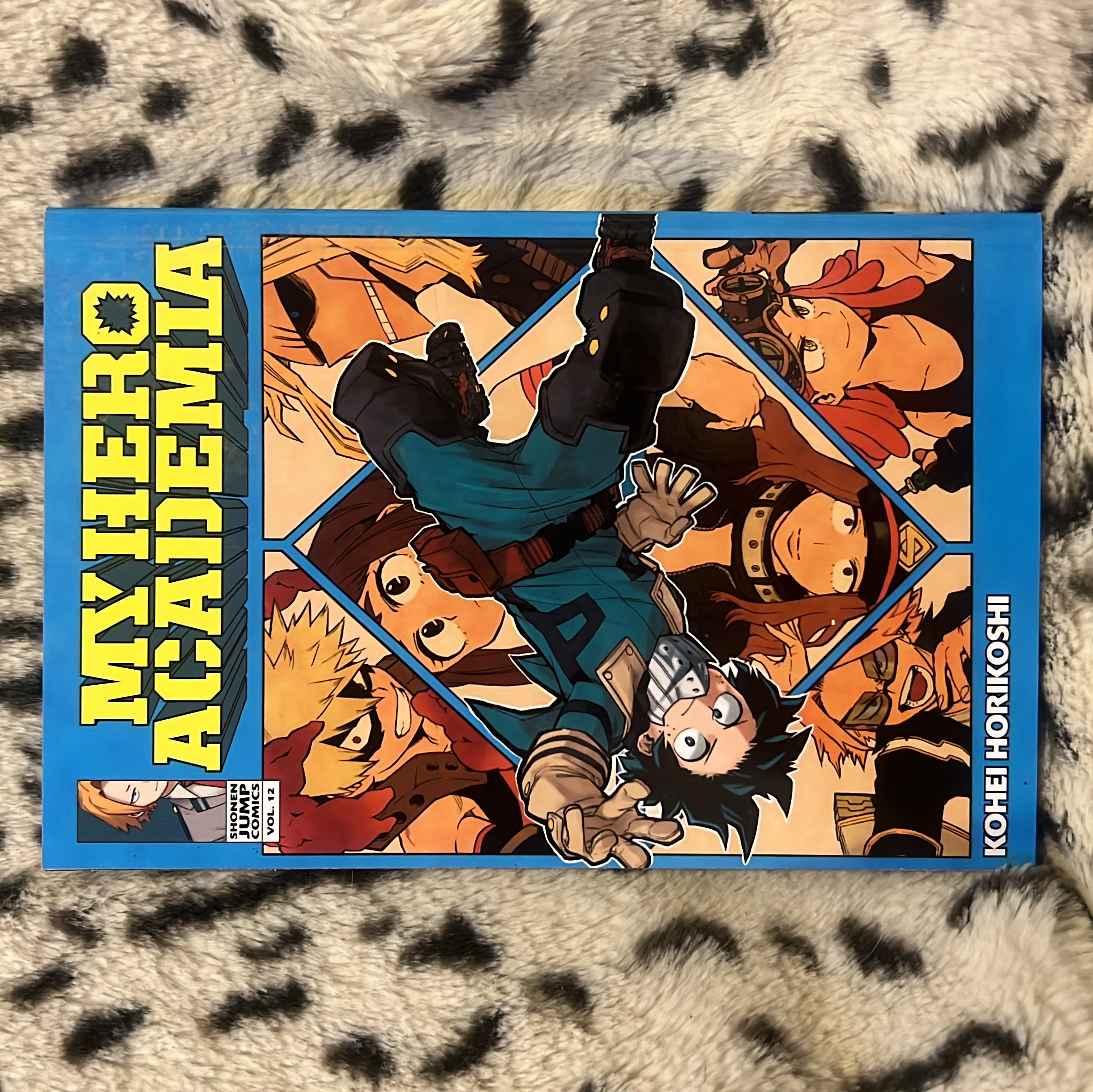 My Hero Academia, Vol. 12