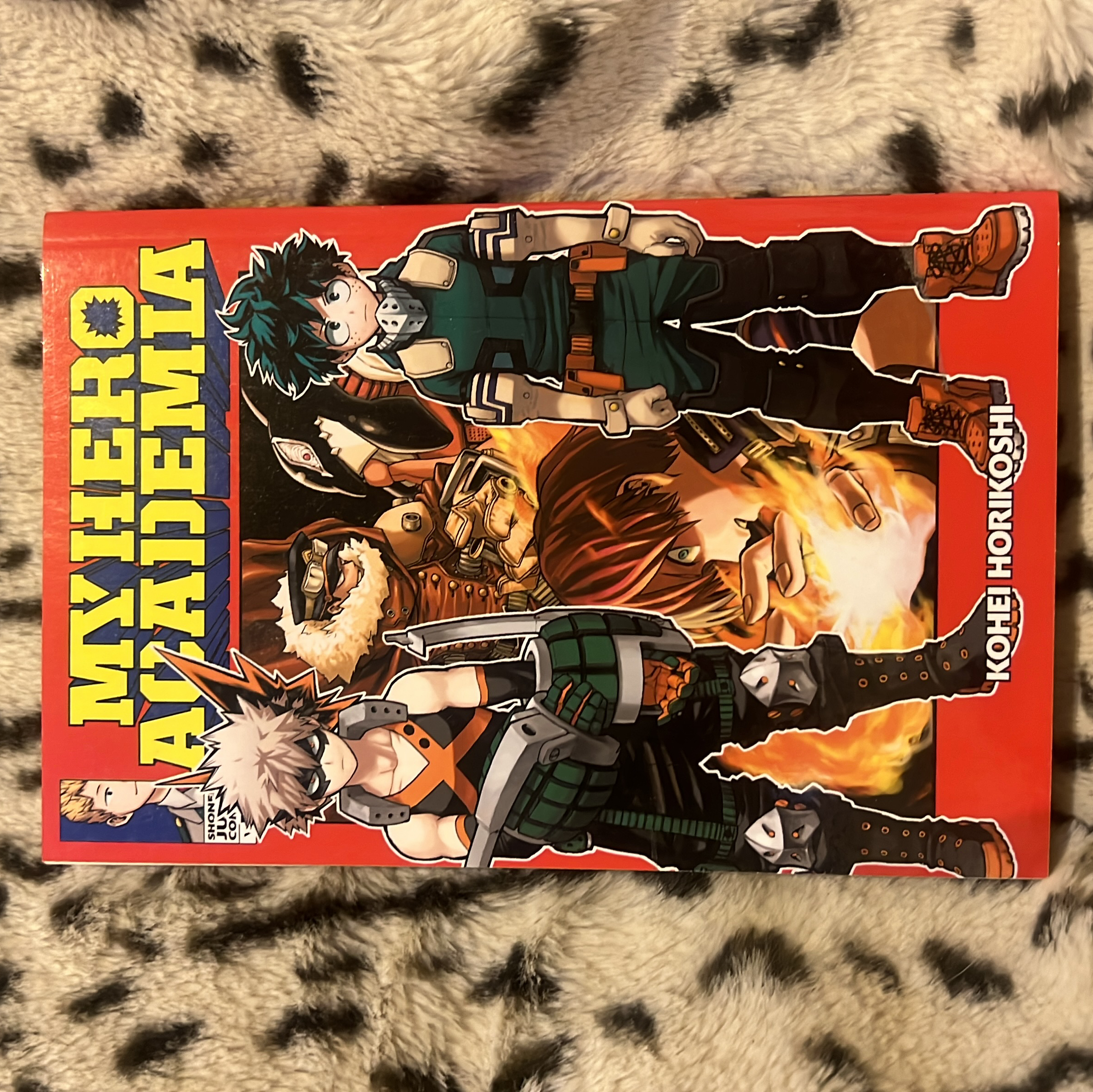 My Hero Academia, Vol. 13