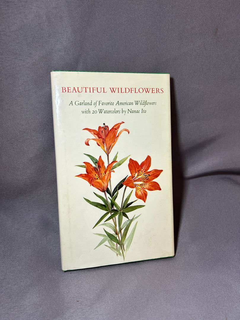 Beautiful Wildflowers 