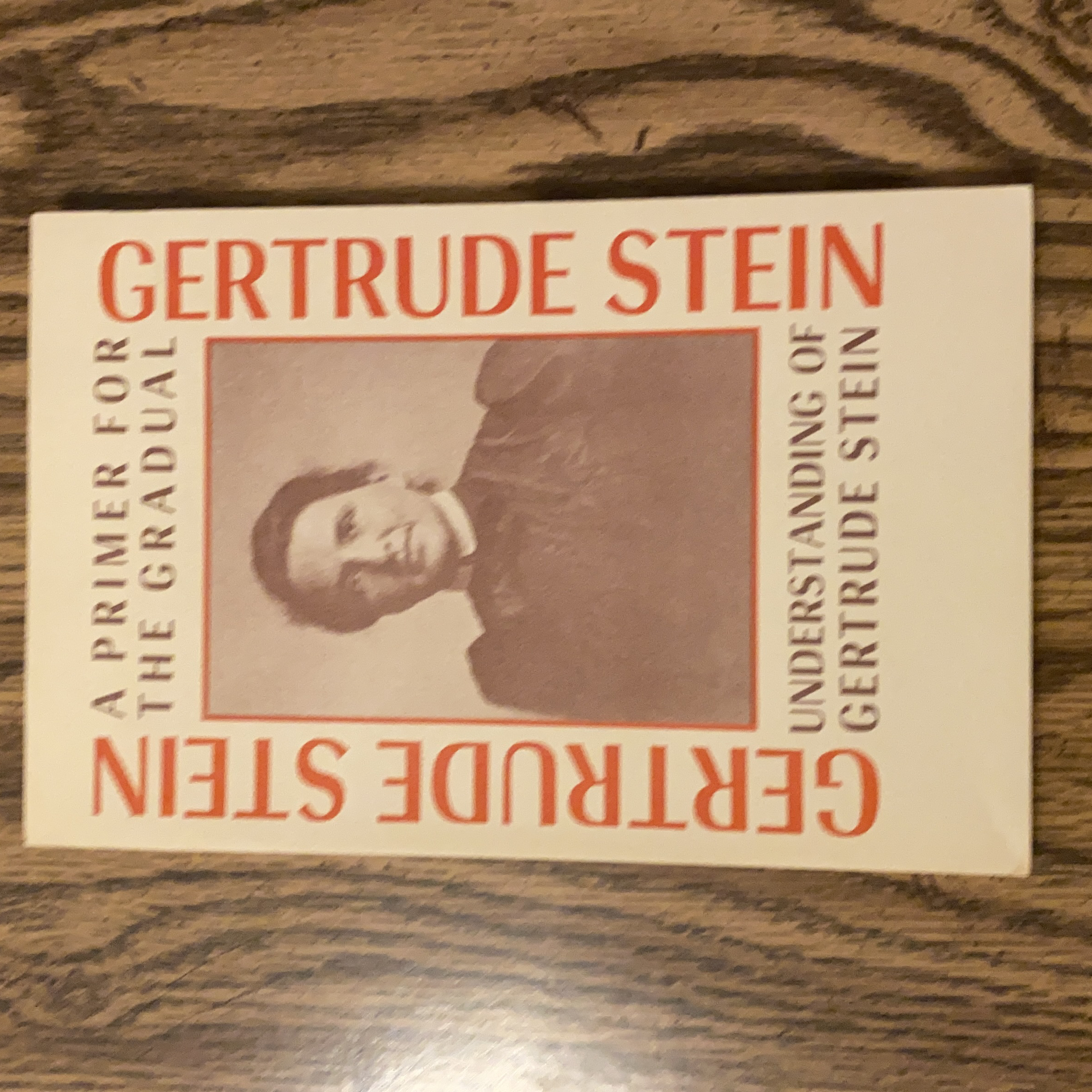 A Primer for the Gradual Understanding of Gertrude Stein