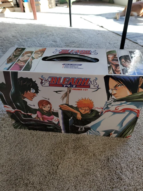 Bleach Box Set 1