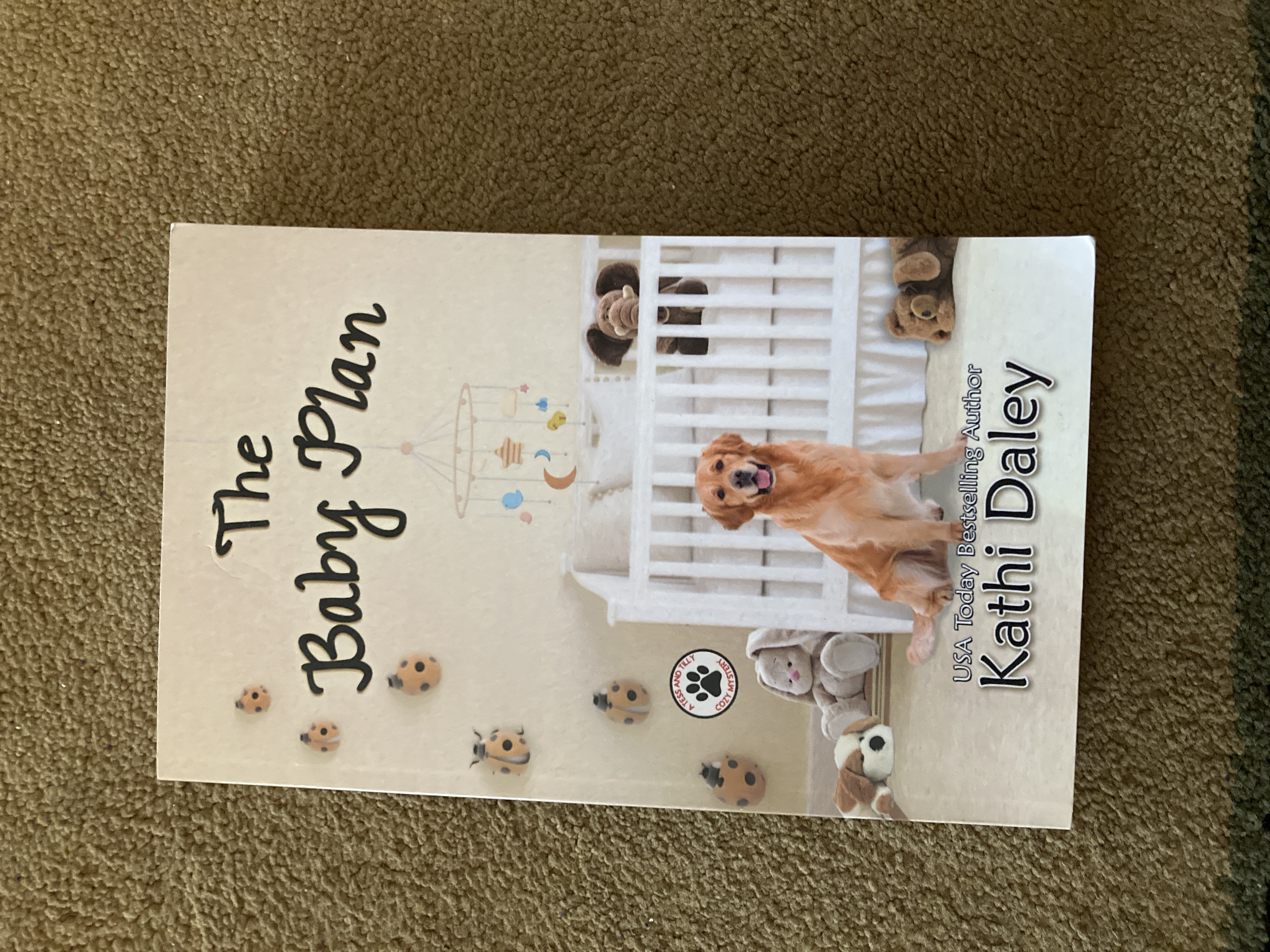 The Baby Plan: a Cozy Mystery