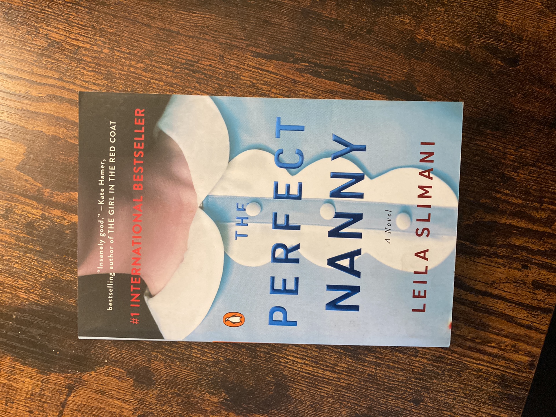 The Perfect Nanny
