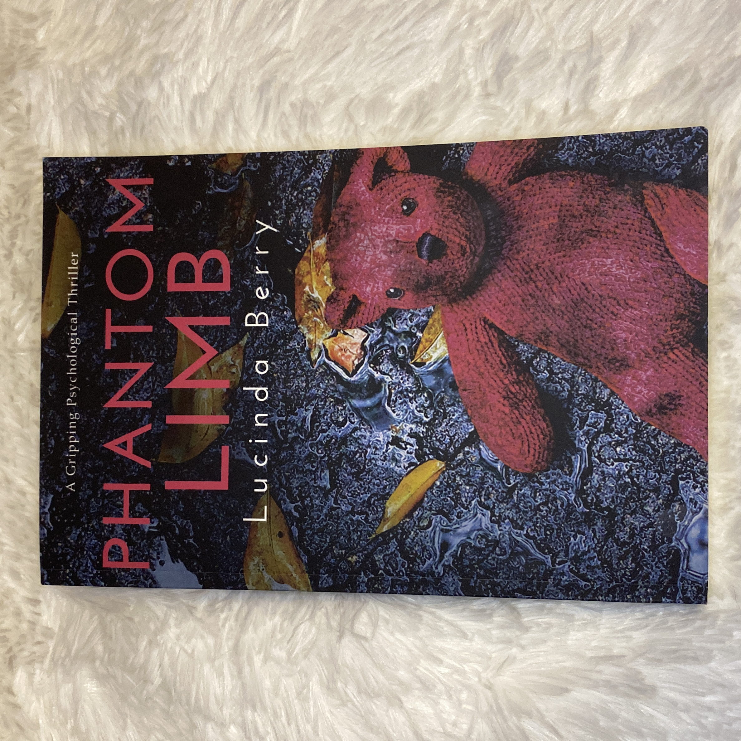 Phantom Limb: a Gripping Psychological Thriller