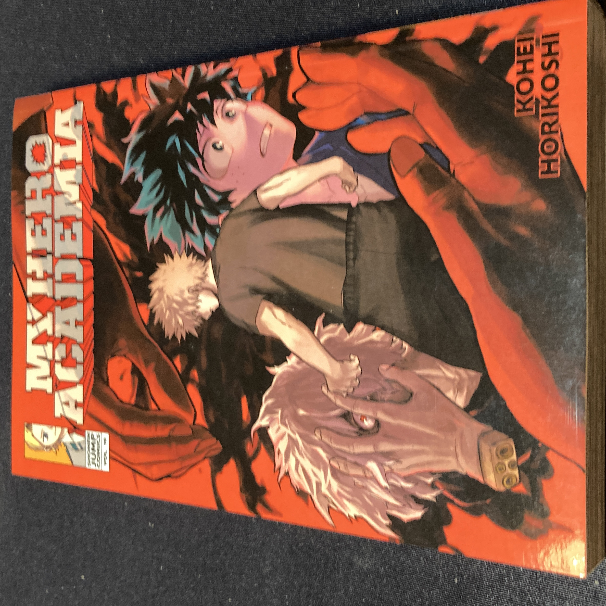 My Hero Academia, Vol. 10