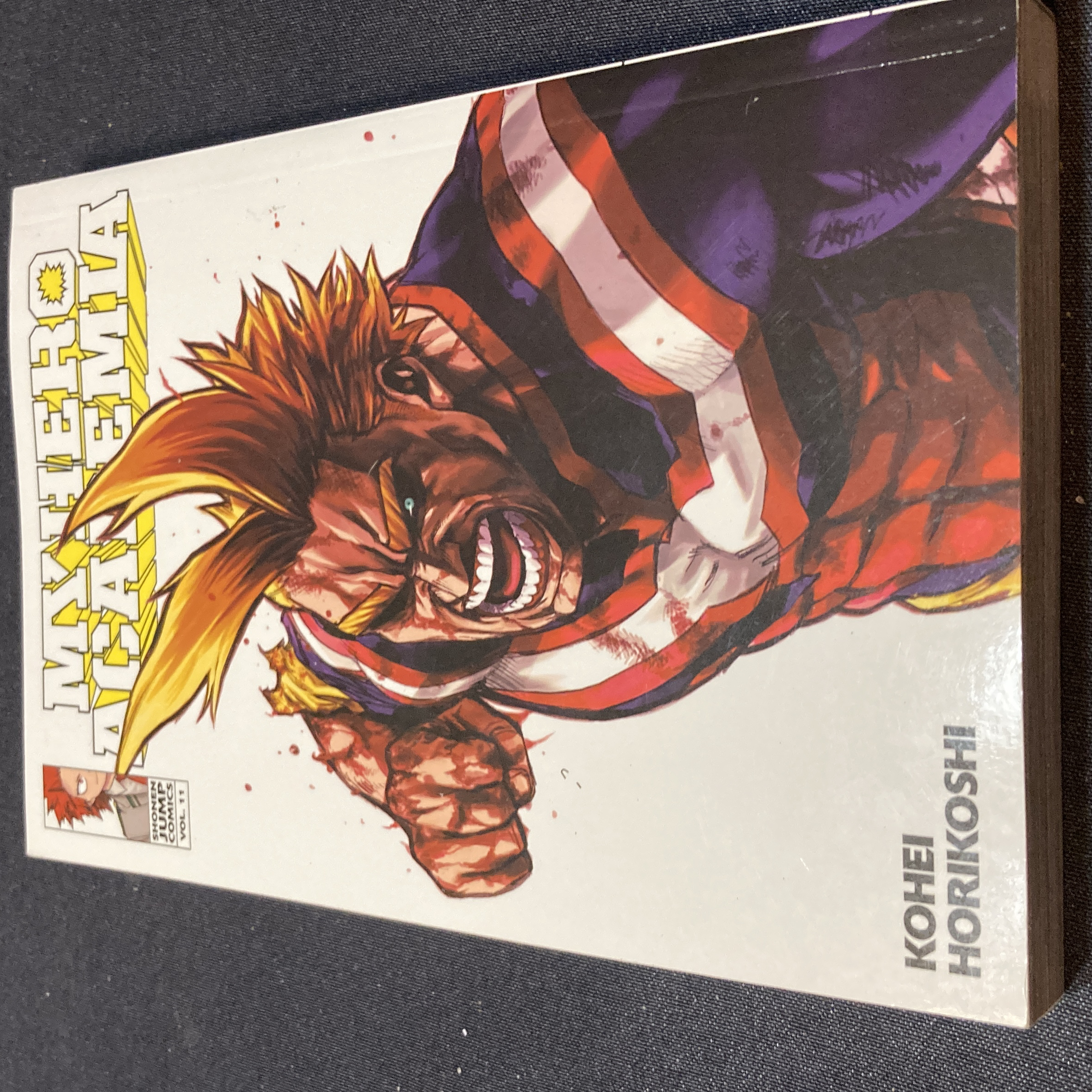 My Hero Academia, Vol. 11