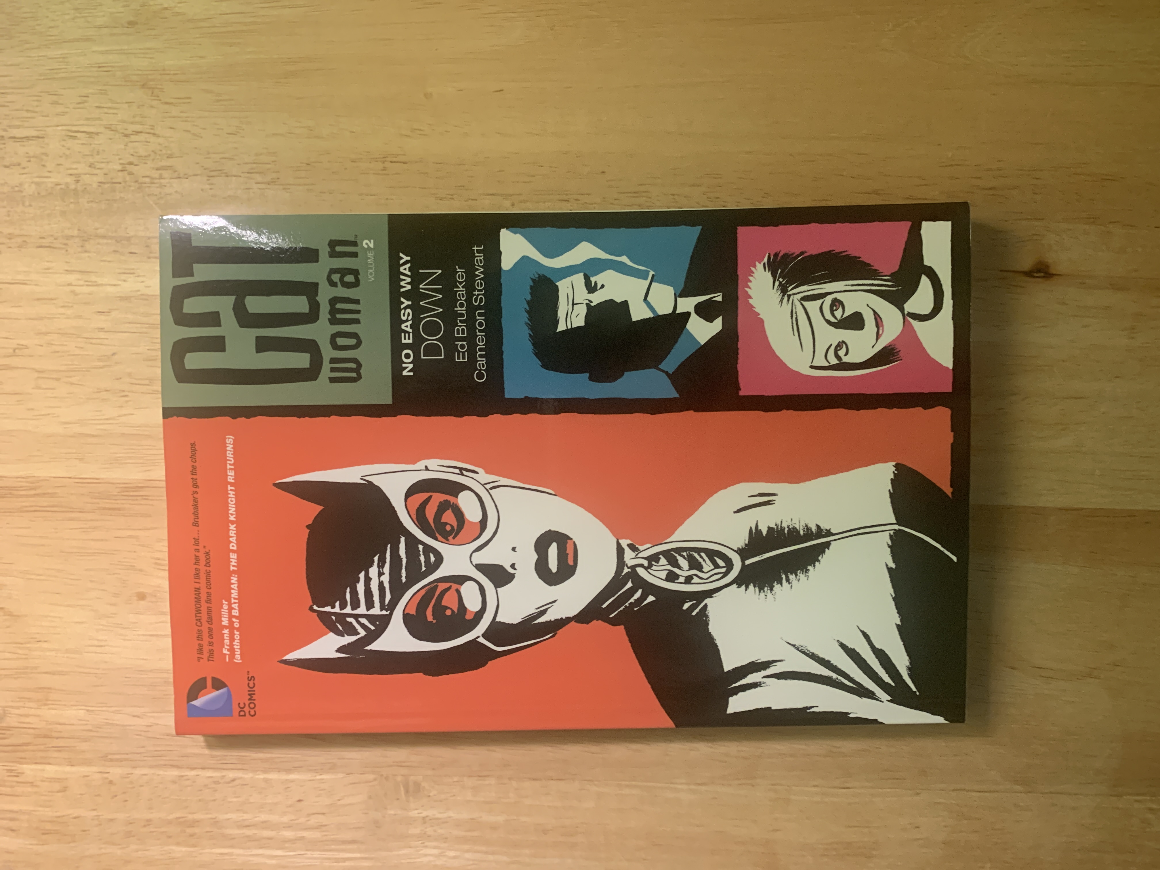 Catwoman - No Easy Way Down