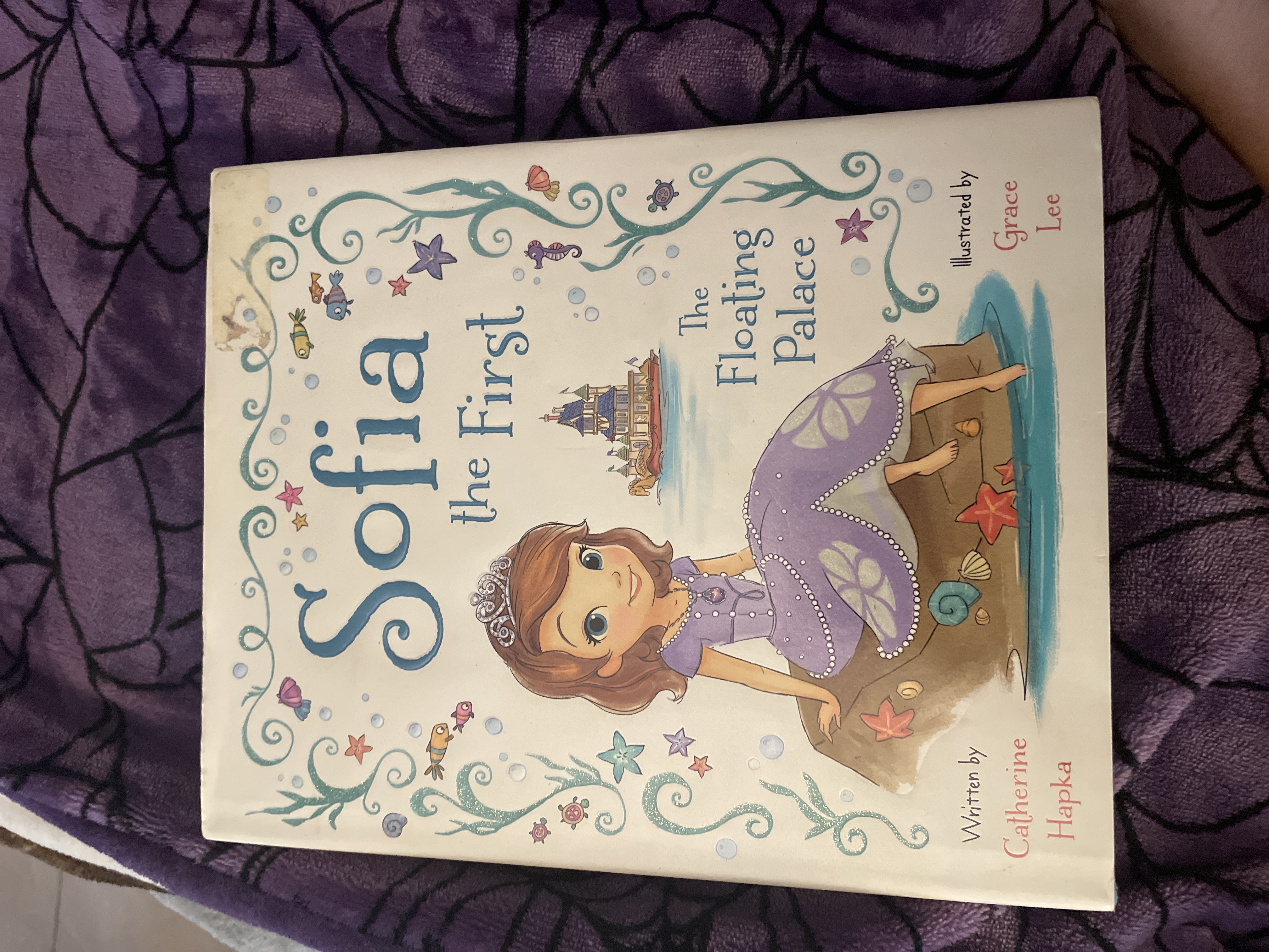 Sofia the First the Floating Palace