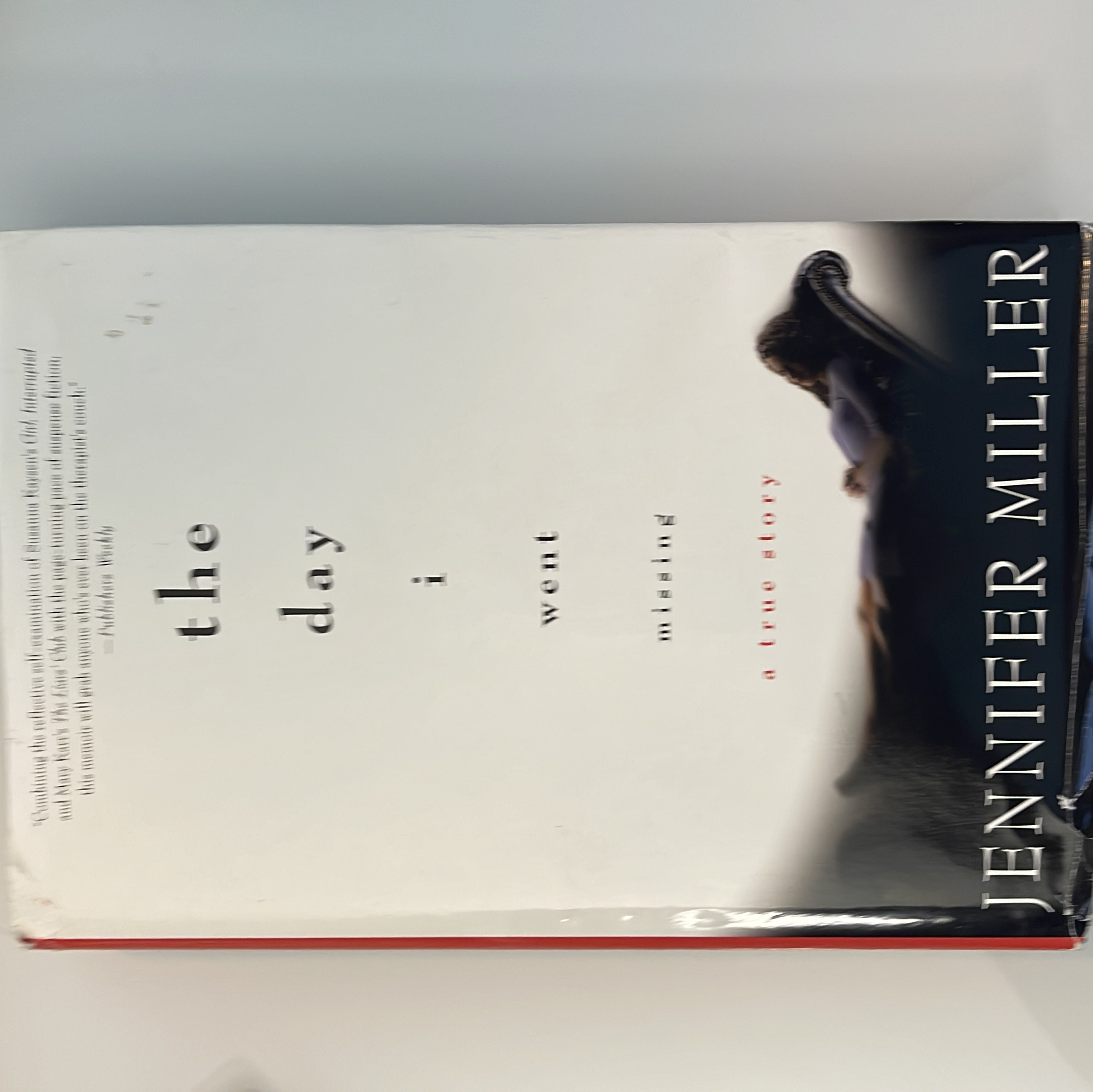 The Day I Went Missing