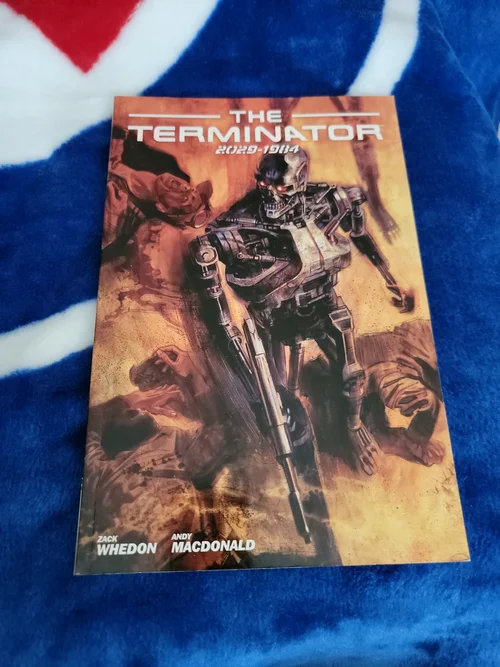 Terminator, 2029-1984