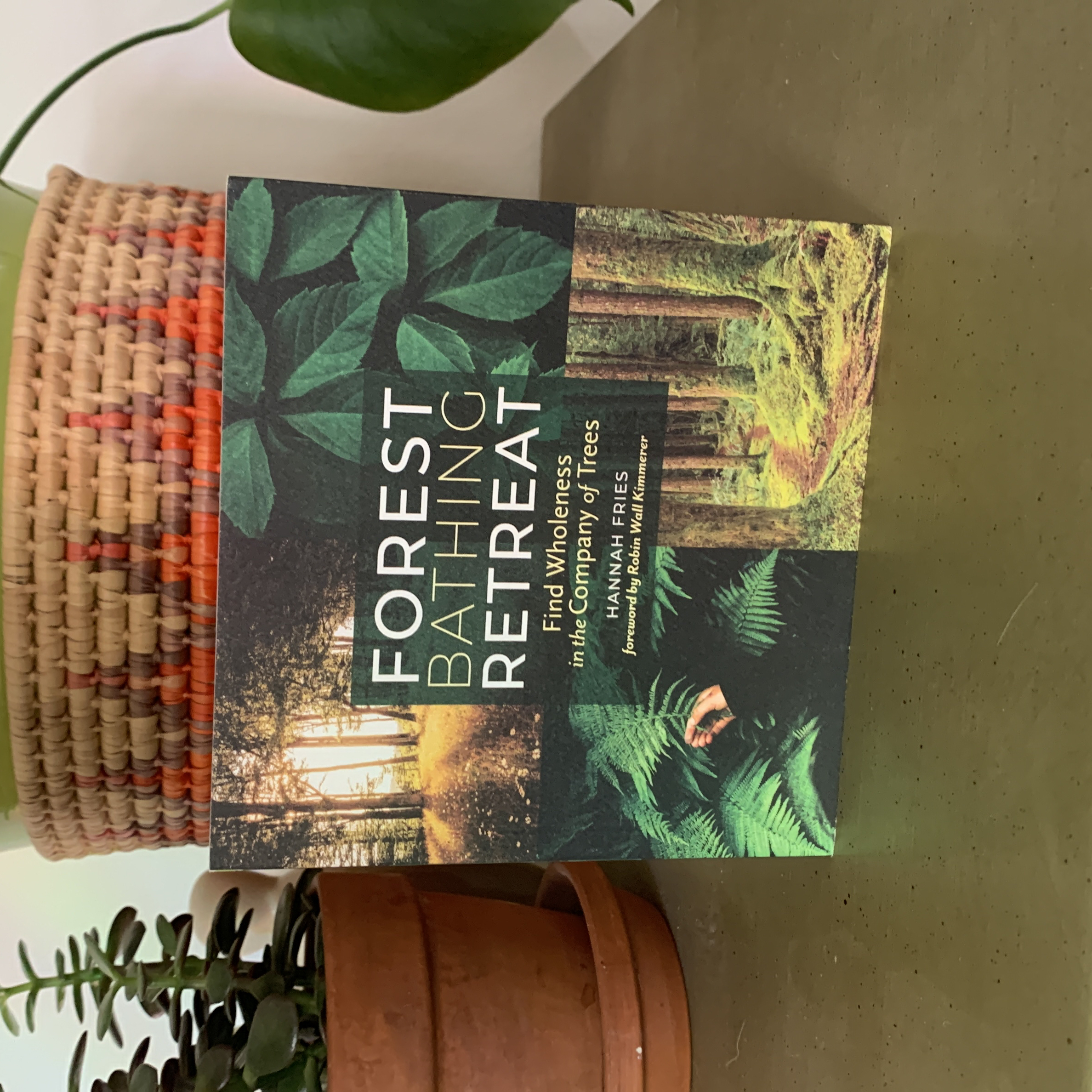 Forest Bathing Retreat