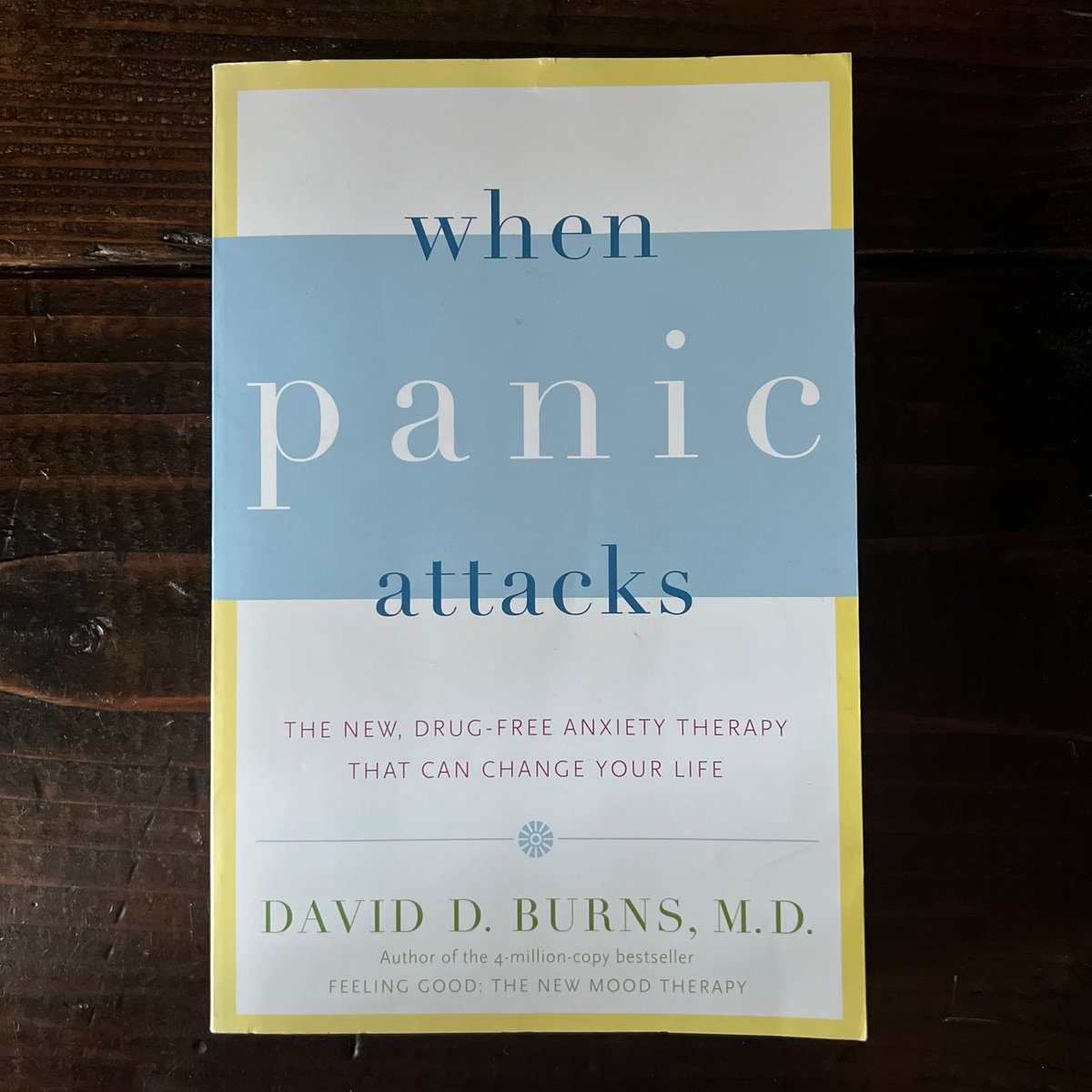 When Panic Attacks by David D. Burns, Paperback | PangoBooks