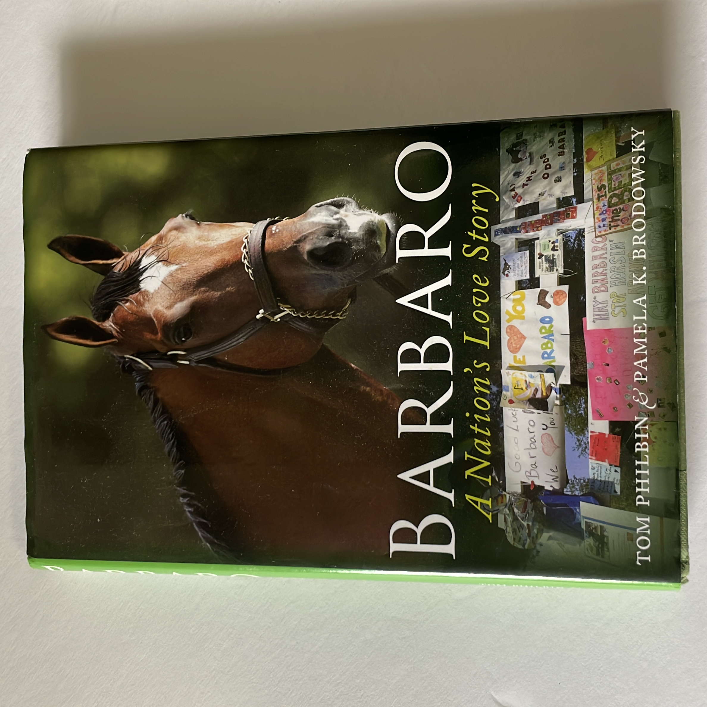 Barbaro