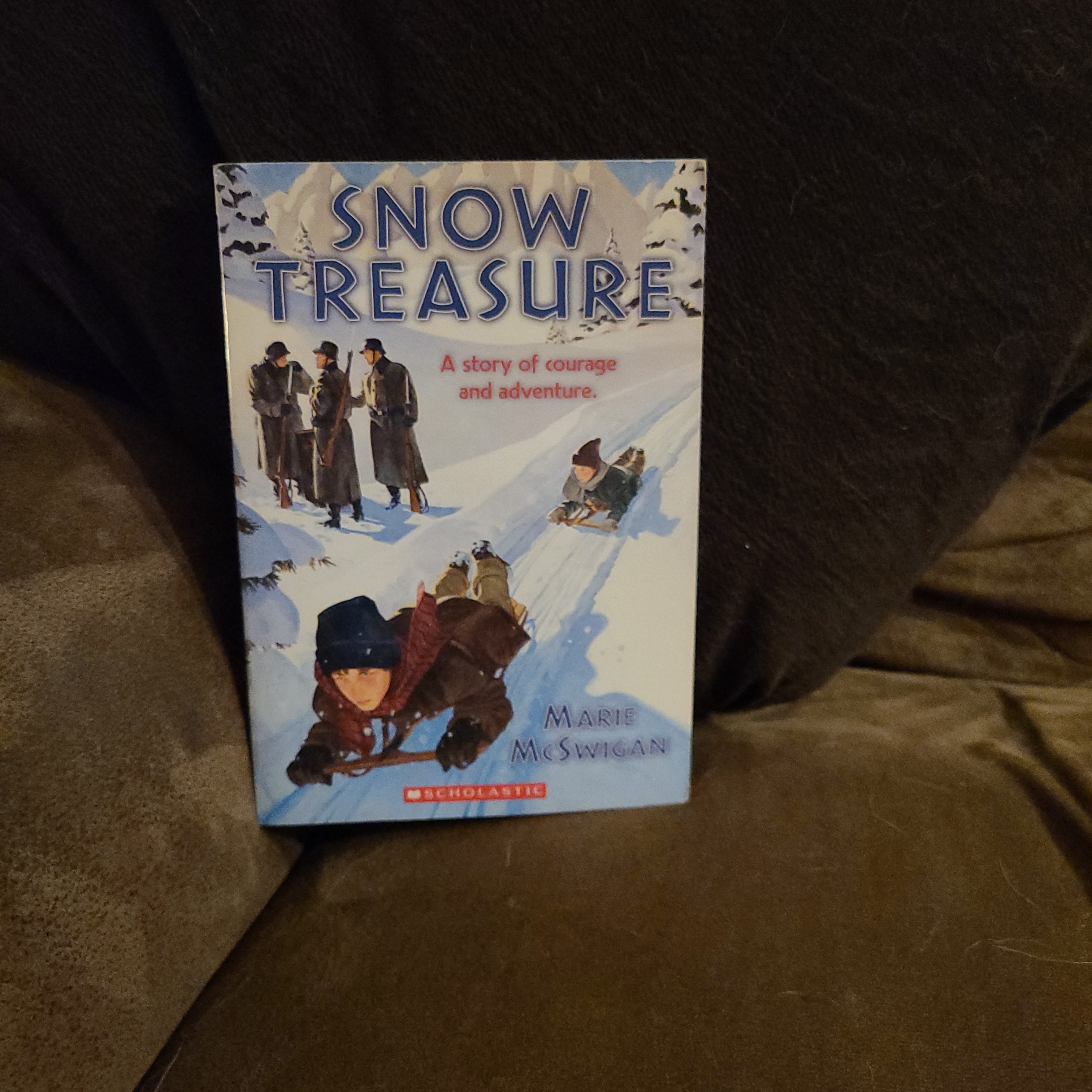 Snow Treasure