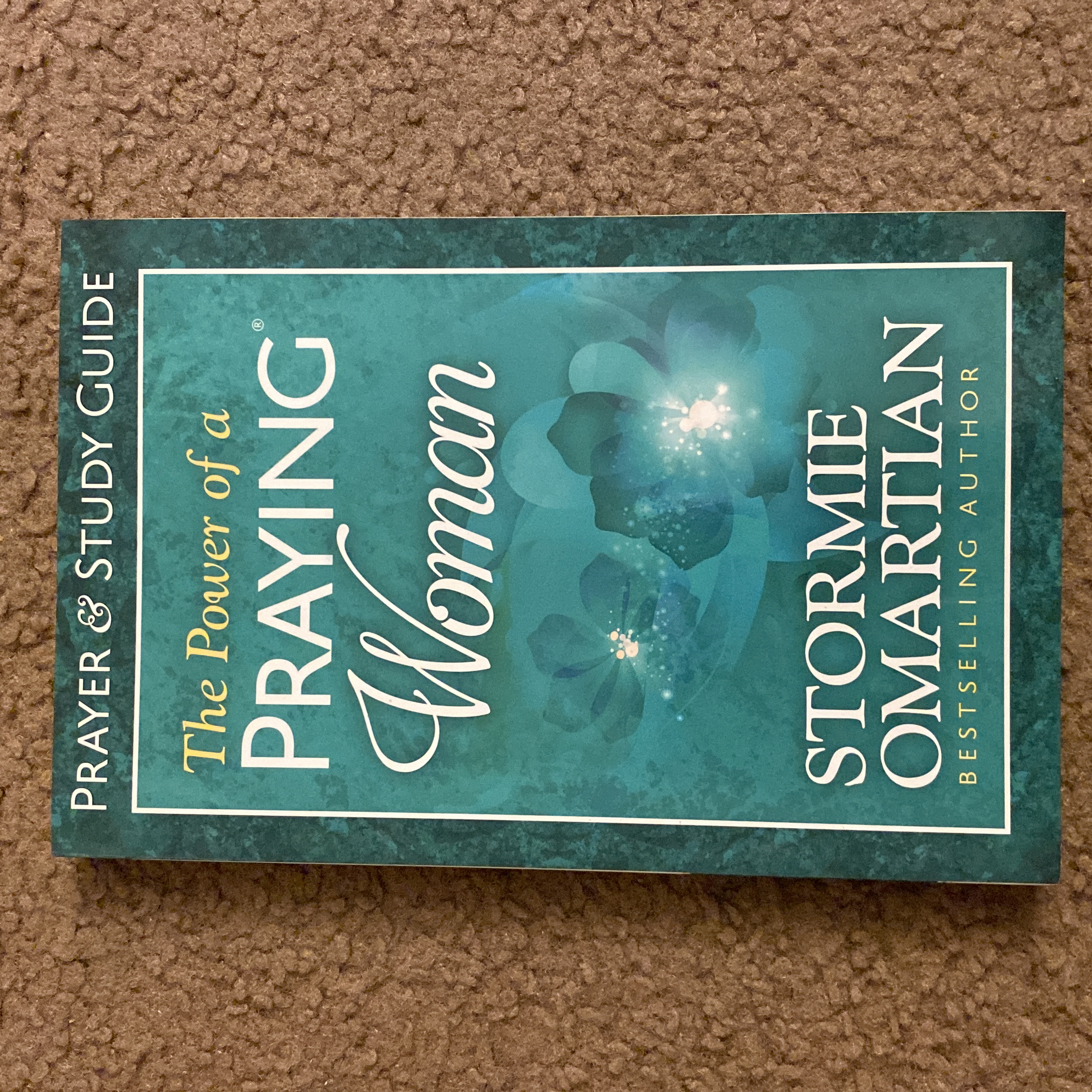 The Power of a Praying Woman Prayer and Study Guide