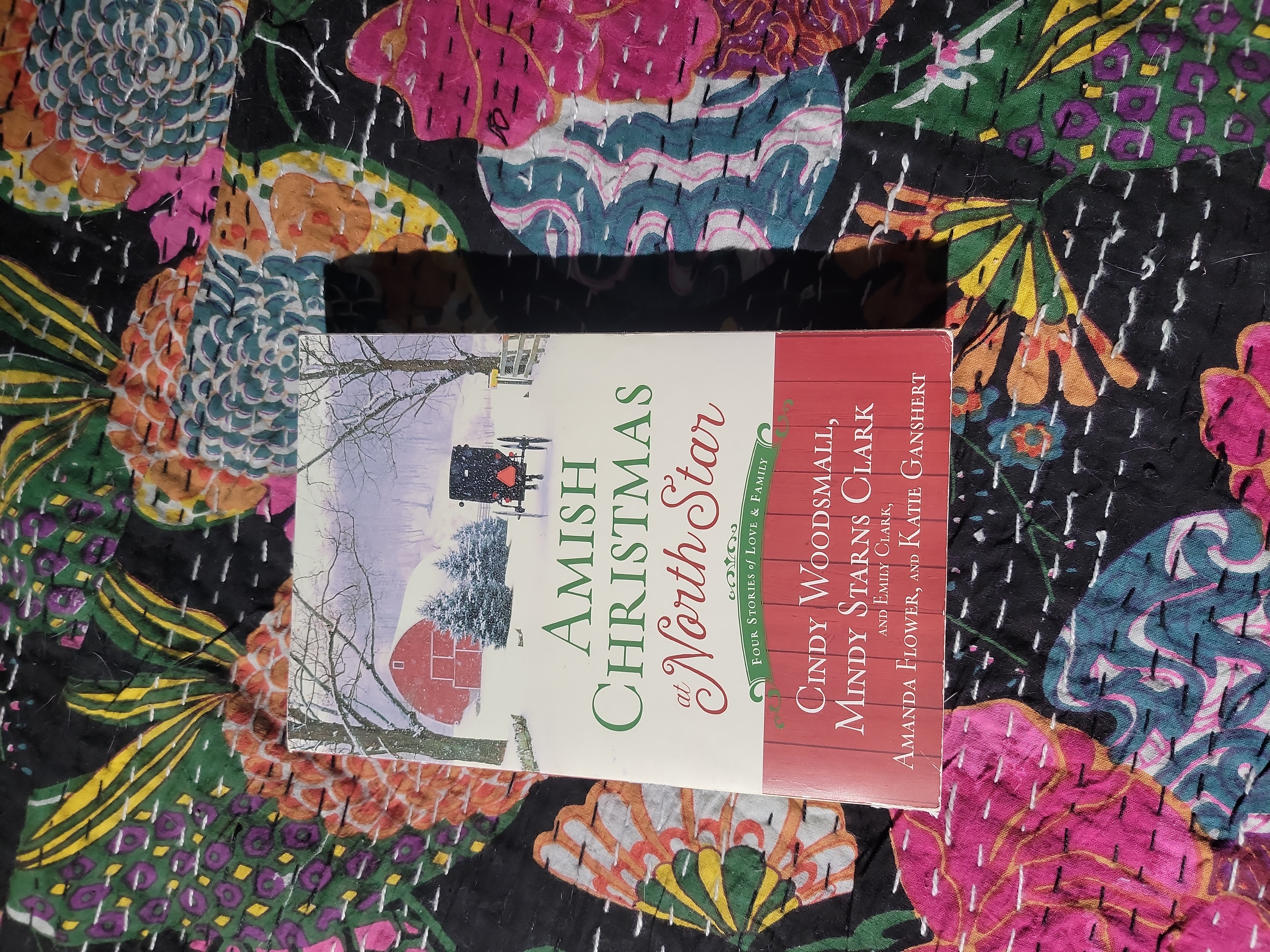 Amish Christmas at North Star