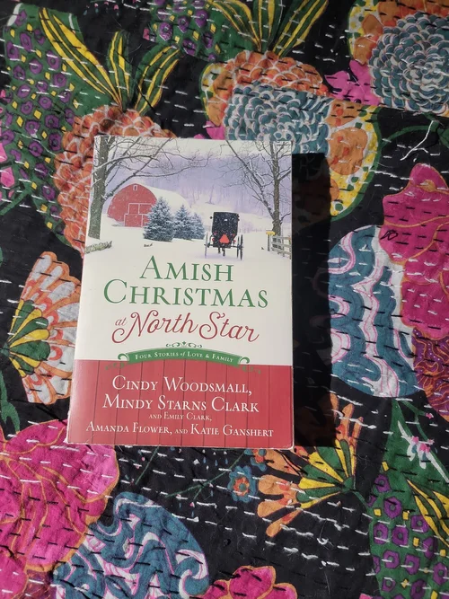 Amish Christmas at North Star