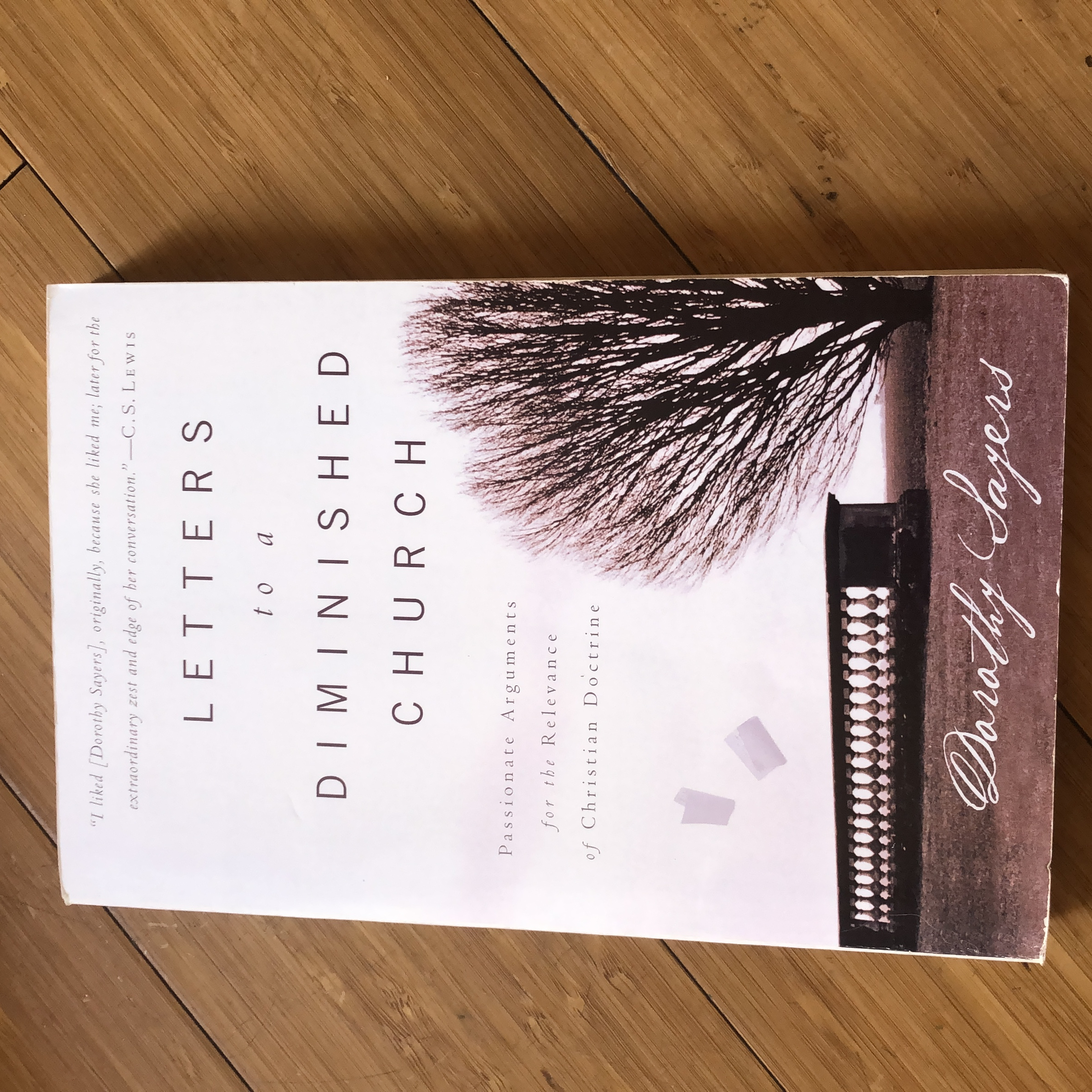 Letters to a Diminished Church