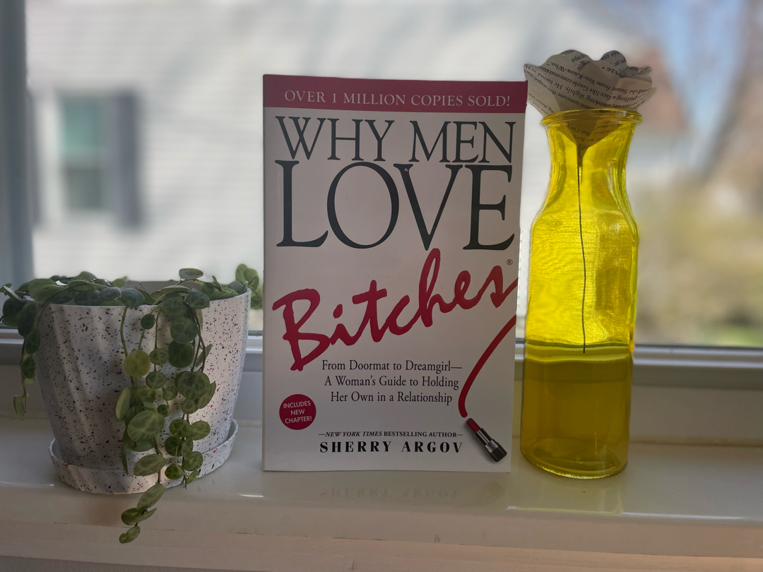 Why Men Love Bitches