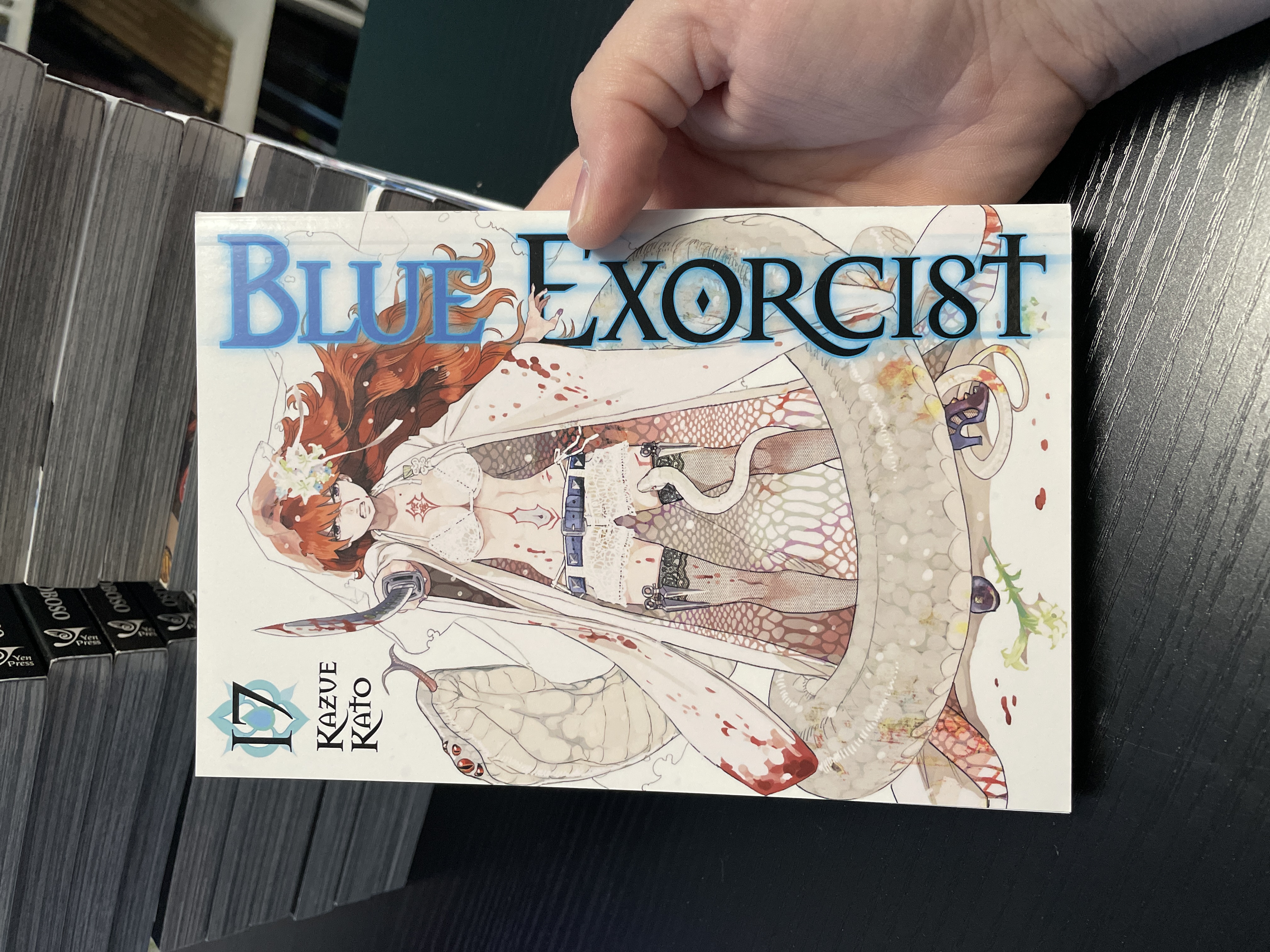 Blue Exorcist, Vol. 17