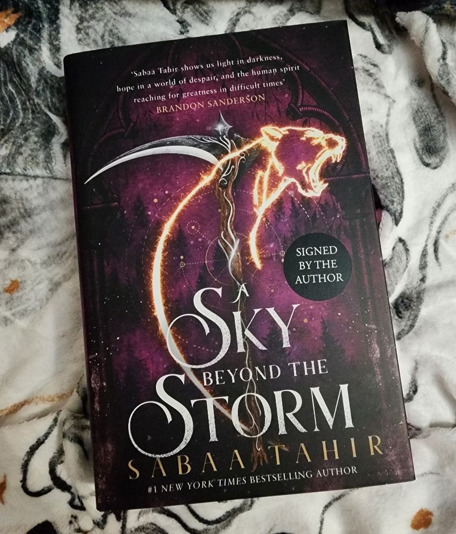 A Sky Beyond the Storm