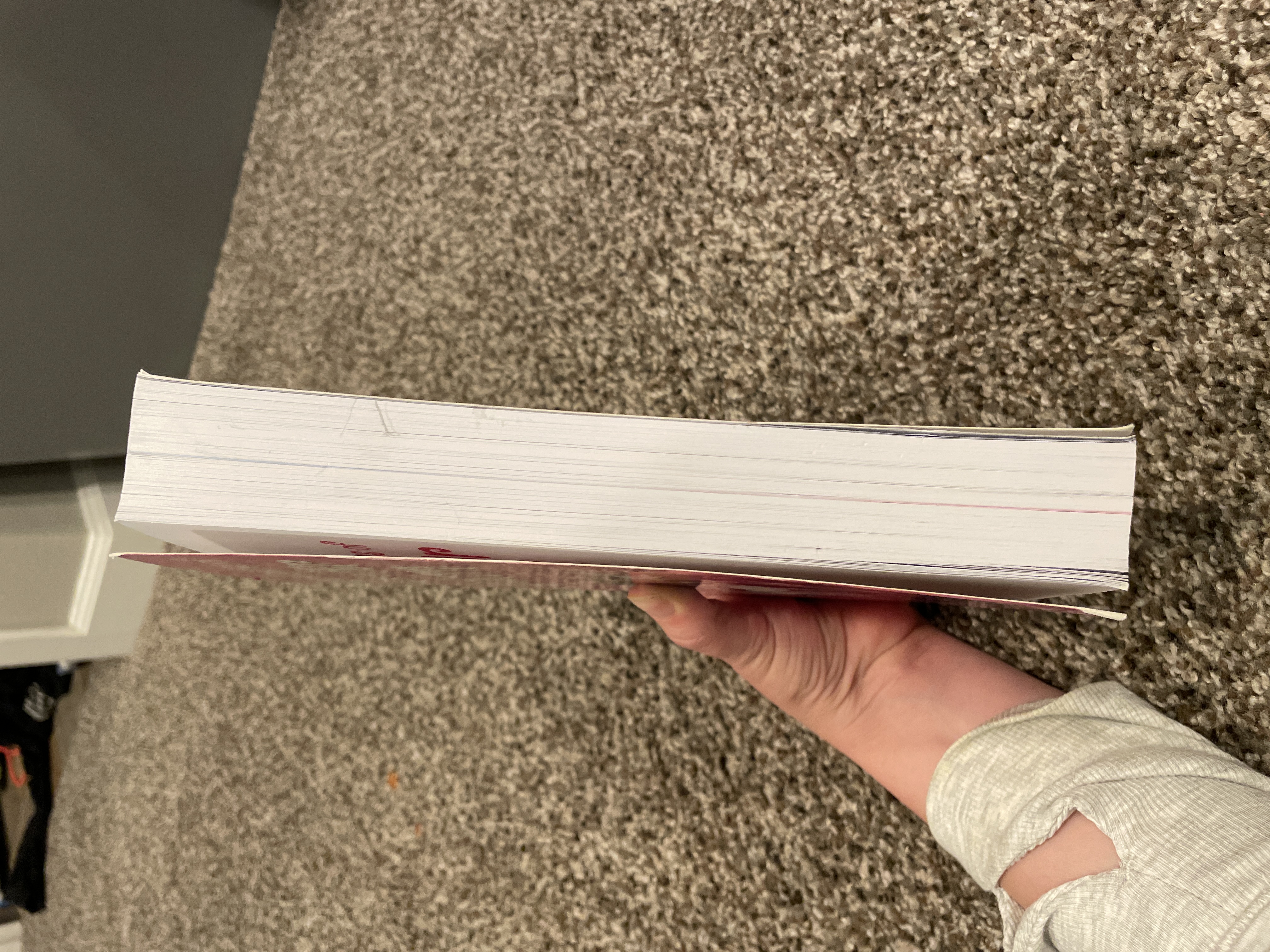 The Magical Adventures of Phoebe and Her Unicorn