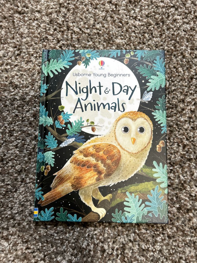 Night and Day Animals